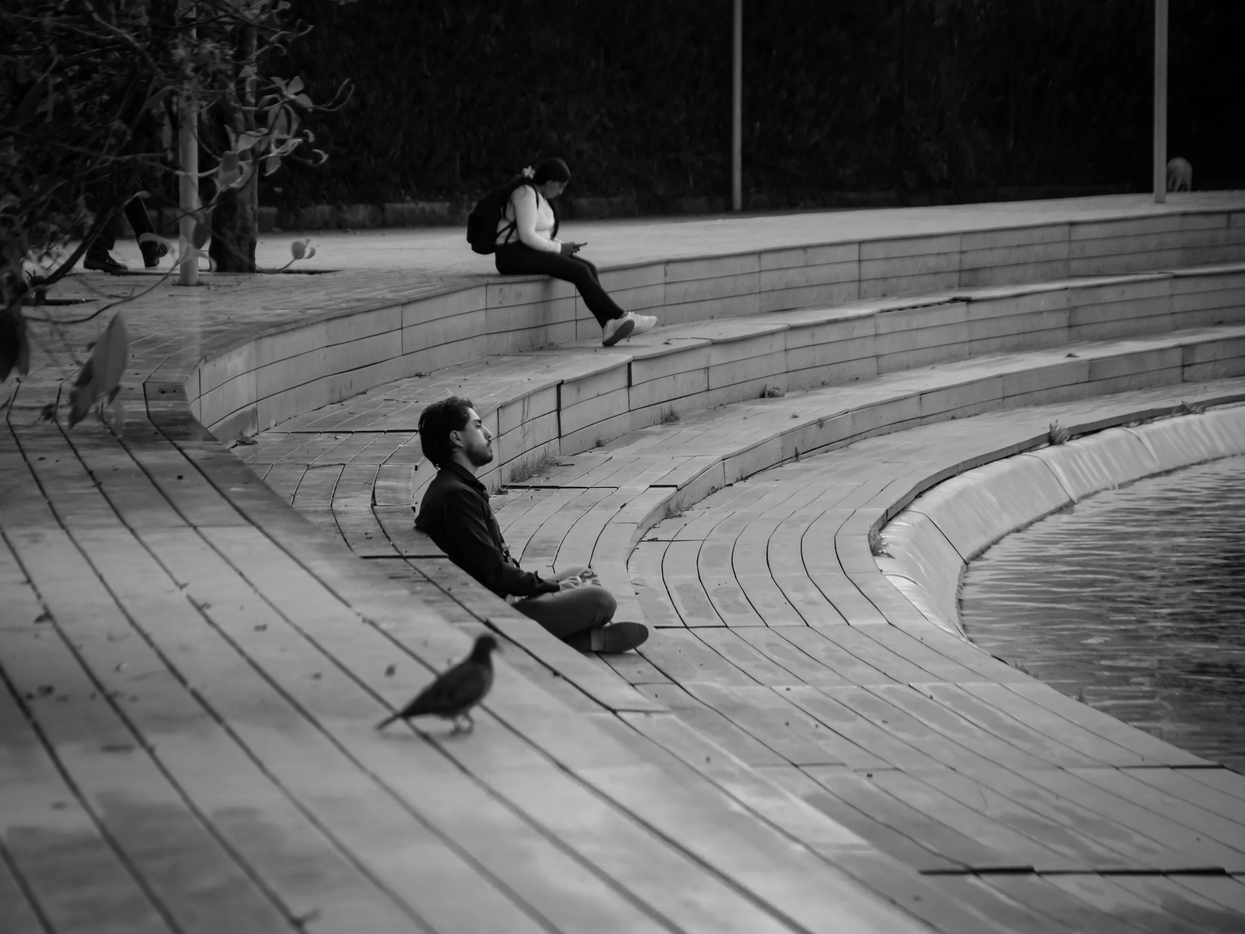 A black and white photo of a woman sitting on outdoor steps, looking at her phone, with a backpack, near some trees and a fence. A man with a beard is sitting nearby, and a bird is walking on the steps in the foreground.