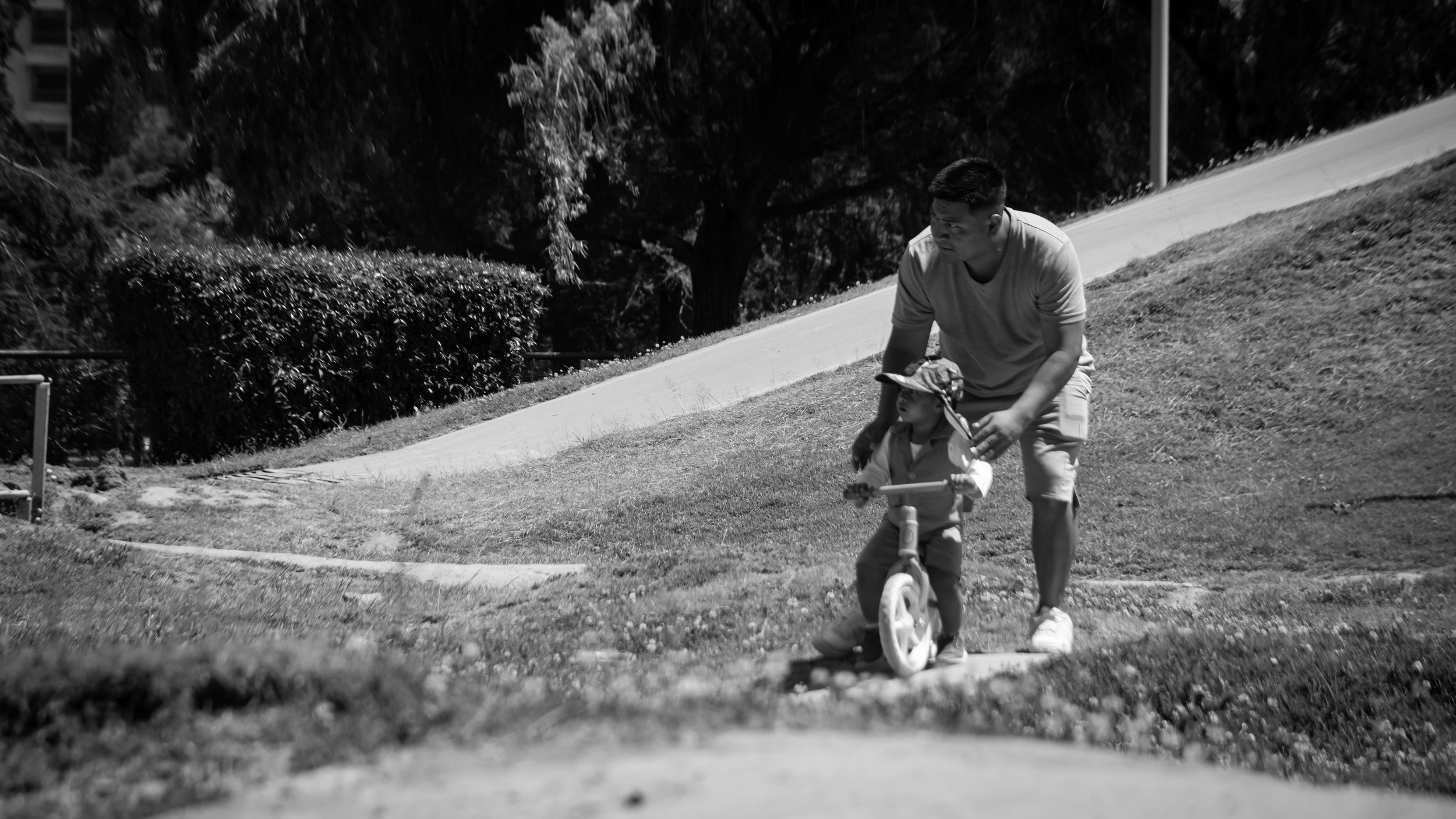 A man helping a young child ride a bicycle with training wheels on a grassy area near a sidewalk, with trees and a hedge in the background.