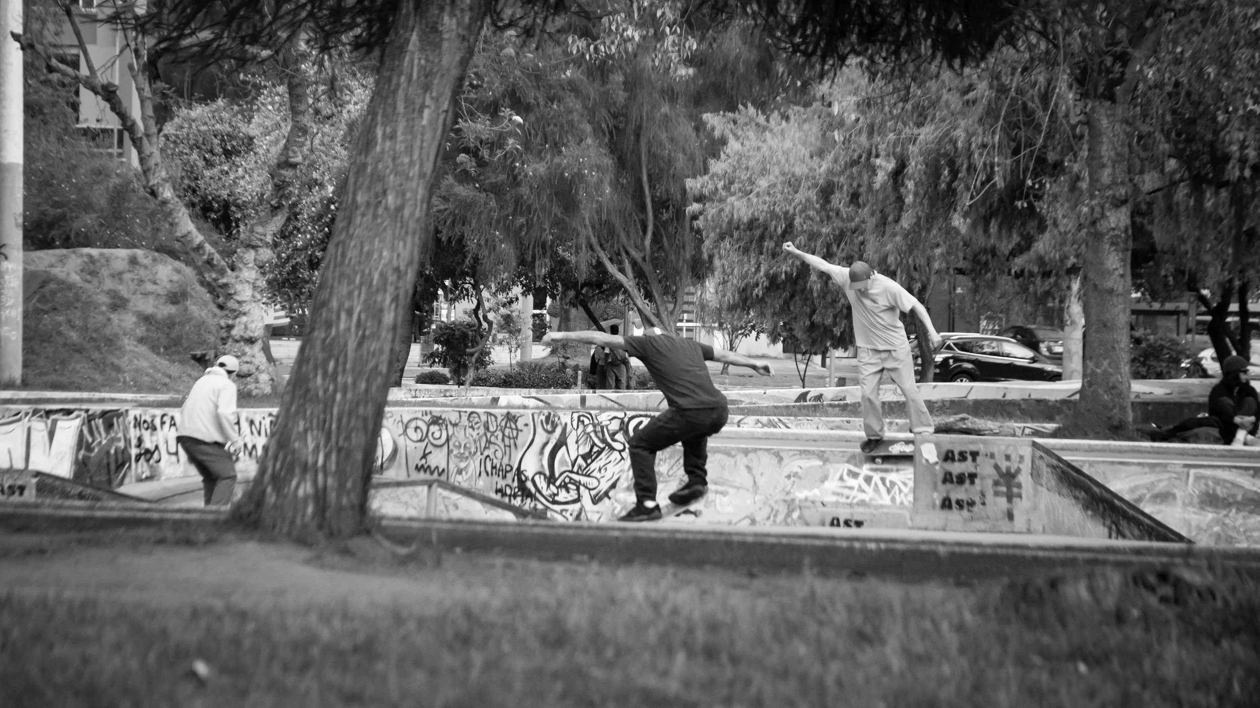 Three individuals skateboarding in a graffiti-covered skate park surrounded by trees and parked cars, black and white photograph.
