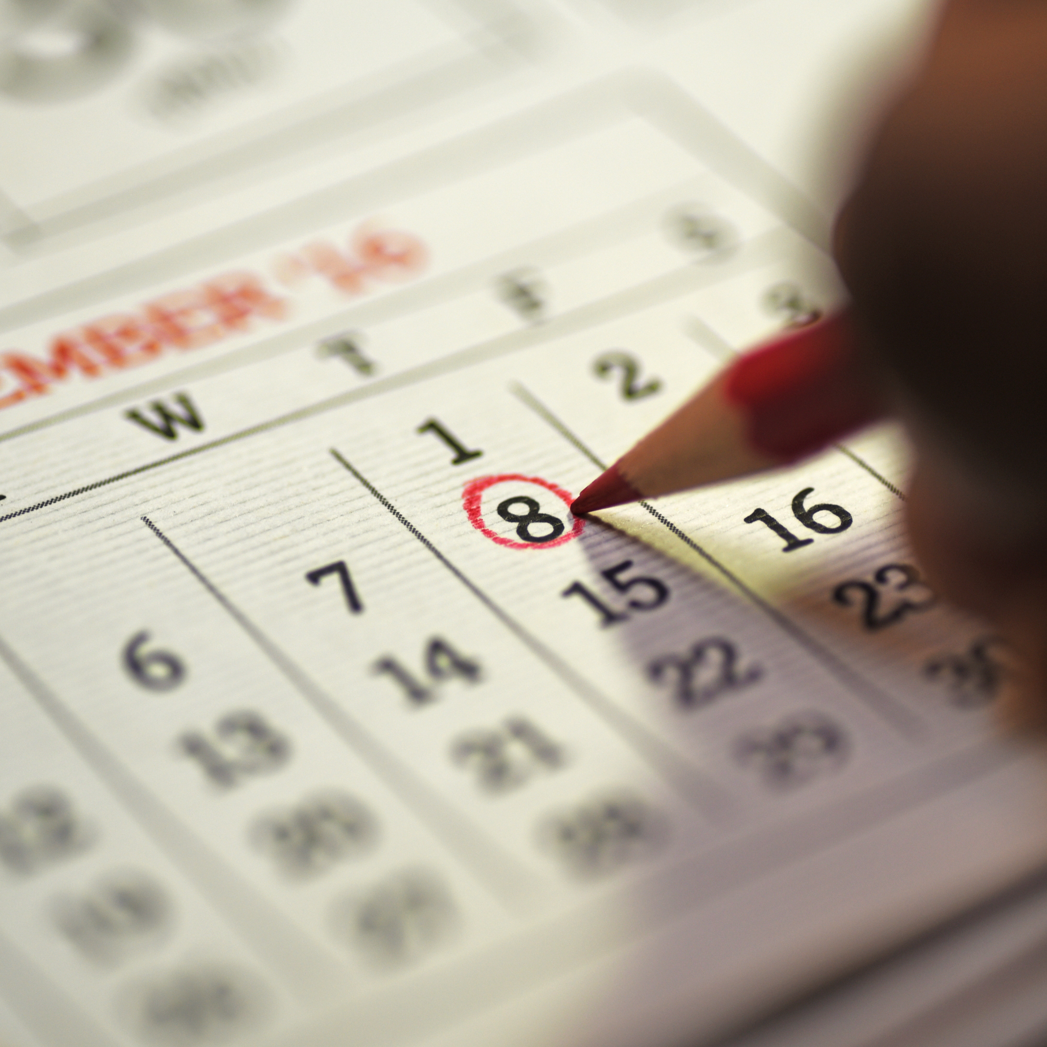 Untitled design-11.png