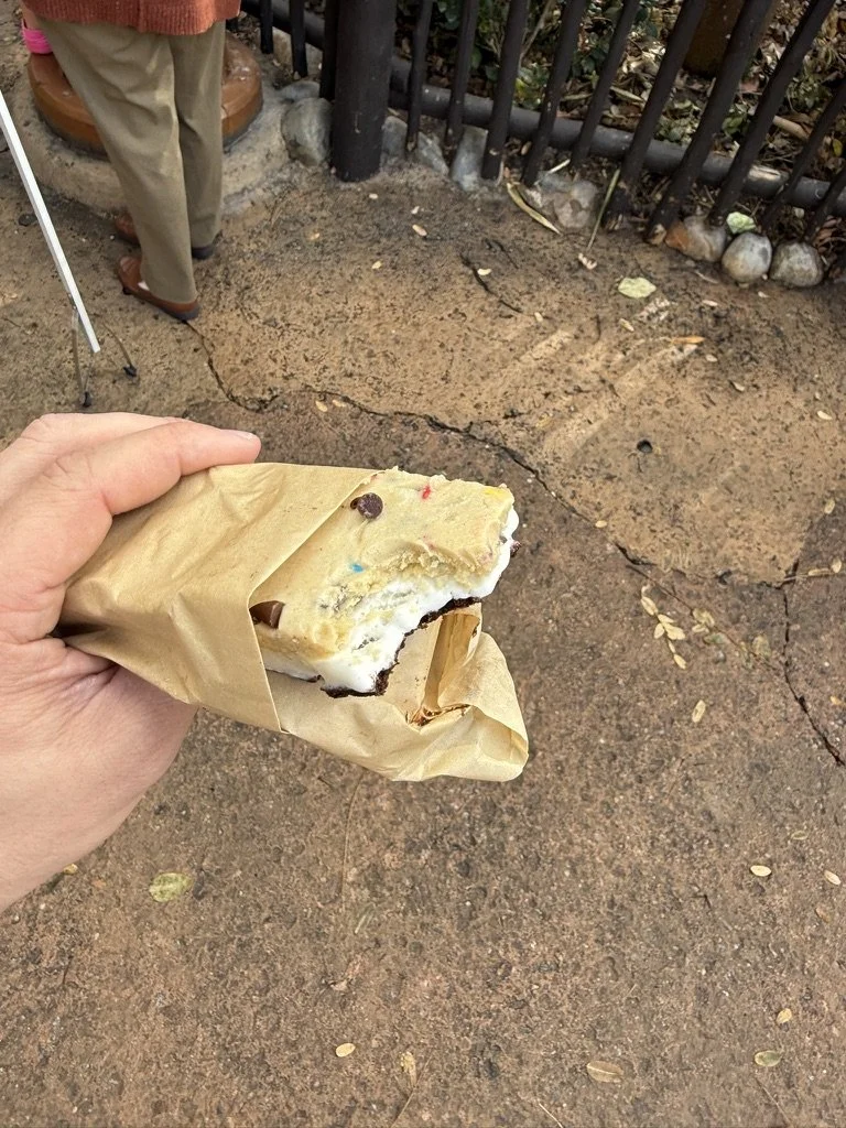 Is the Viral Ice Cream Sandwich at Animal Kingdom Worth It? (Honest Review)