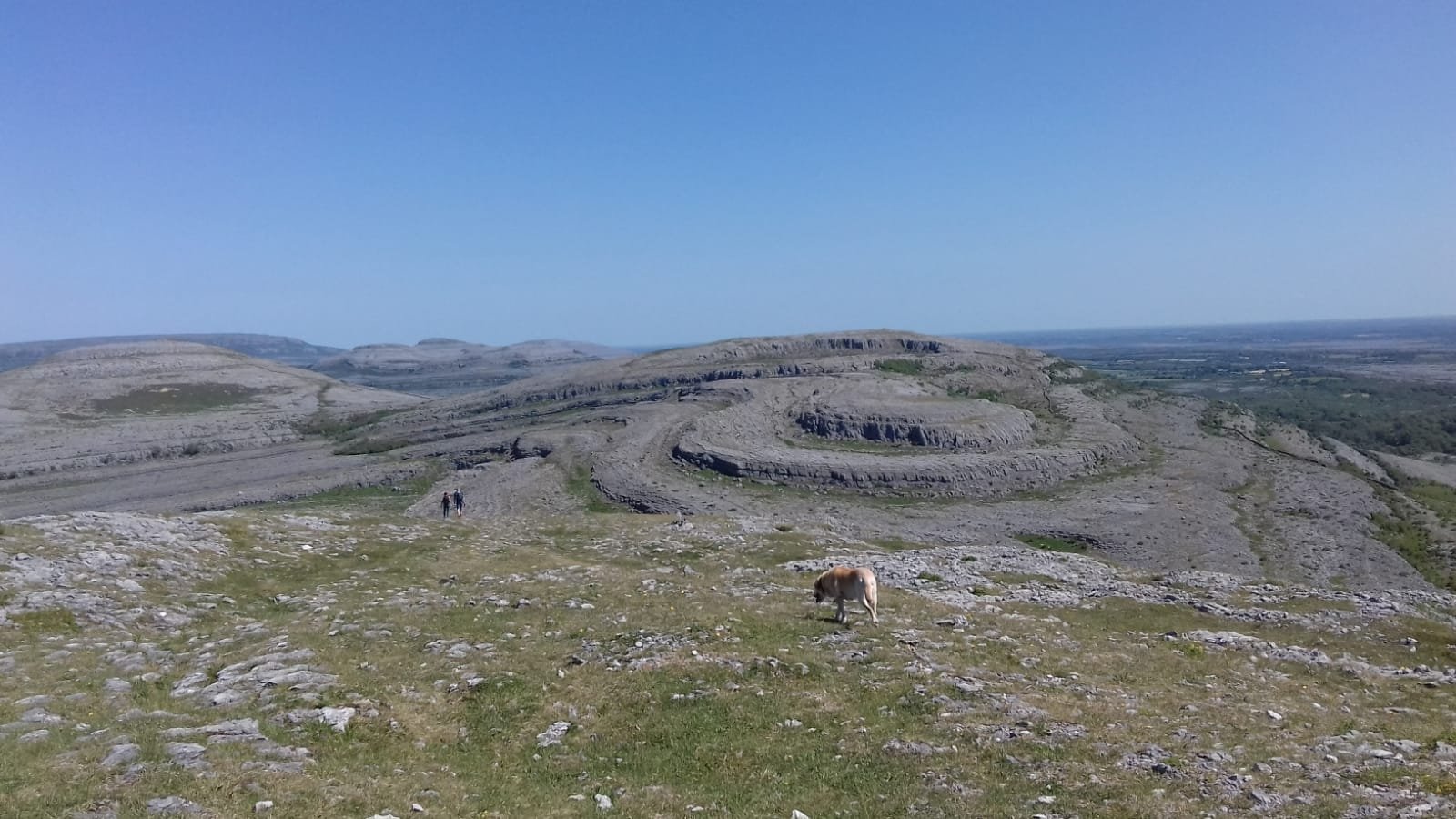 The Burren landscape with Breda's late dog, Arthur, a golden lab