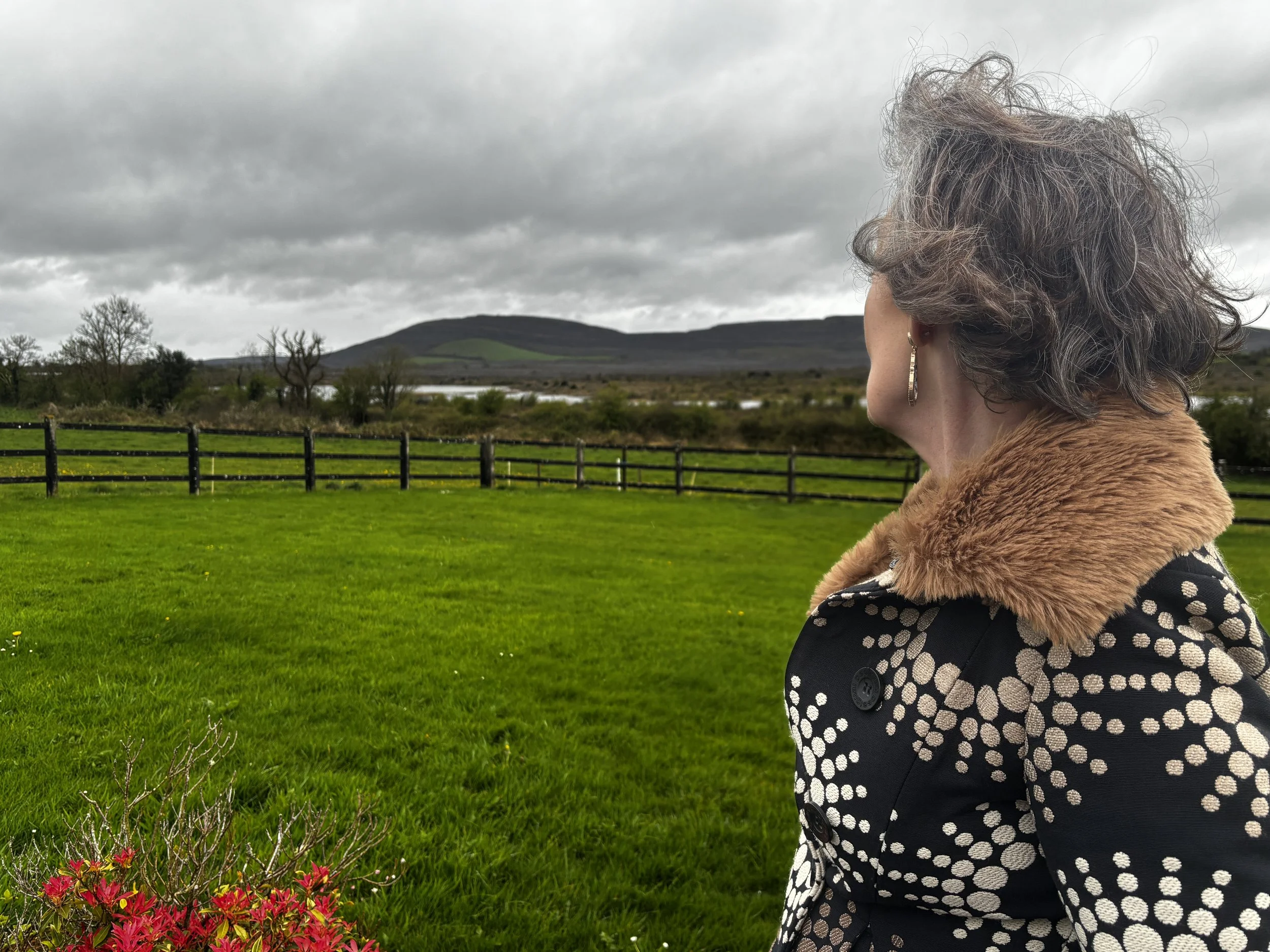 Breda looking at a lush green field with a fence, trees, a river, and rolling hills under a cloudy sky.