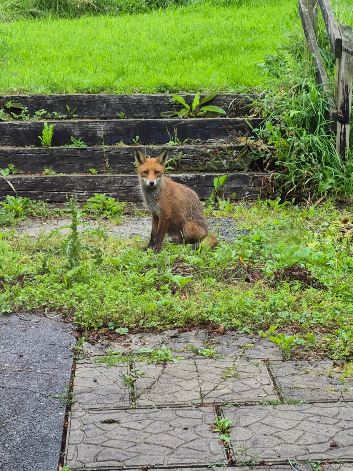 One-to-one Memoir Writing Course - Remote