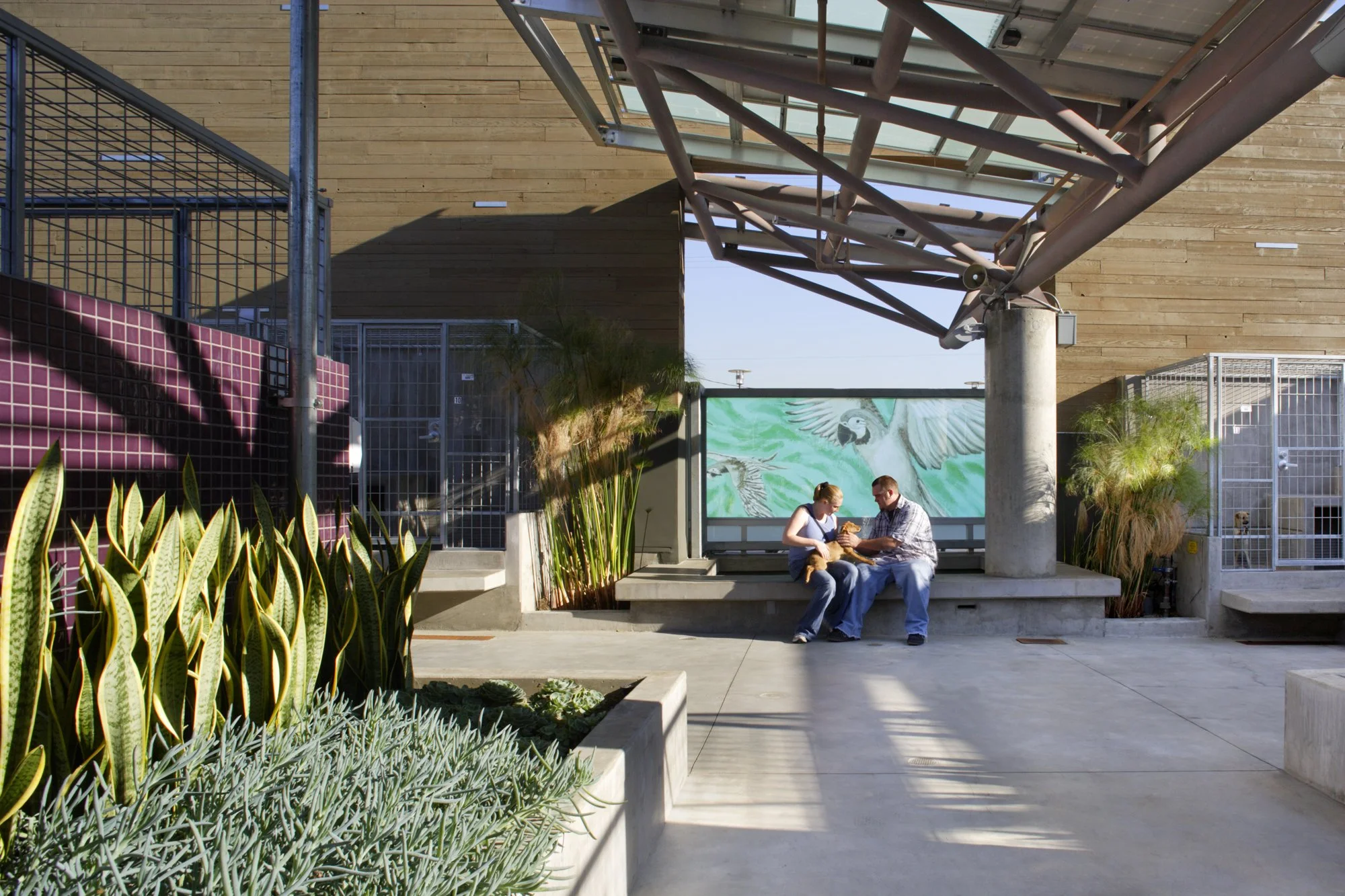 tracy-a-stone-architect_ncasc_solar-cover.jpg