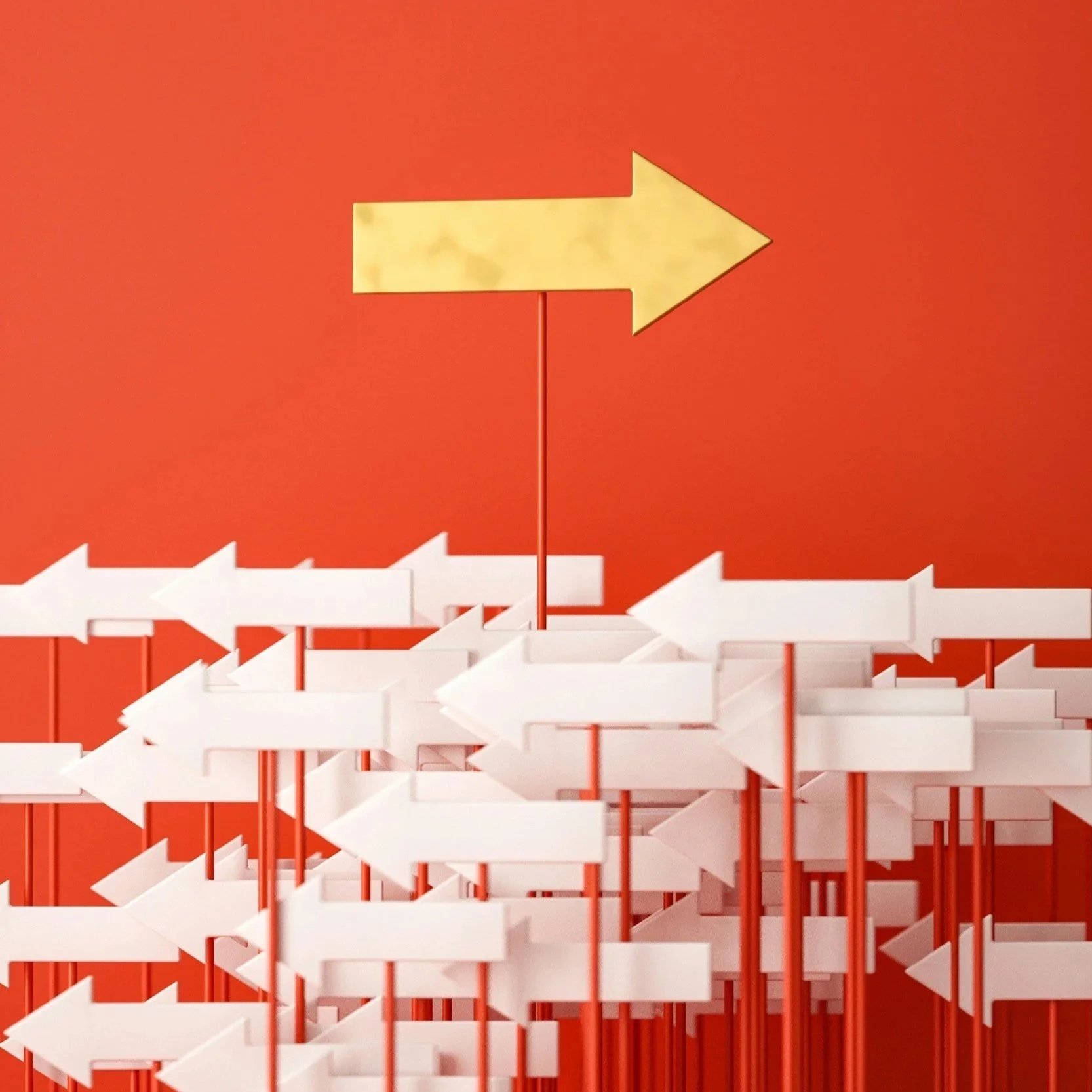 Numerous white directional signs with red posts pointing in multiple directions, with one yellow arrow sign pointing to the right against an orange background.