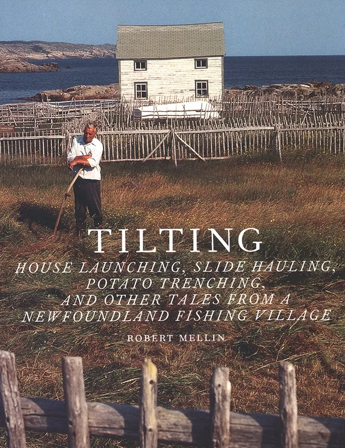 Tilting book cover.jpg