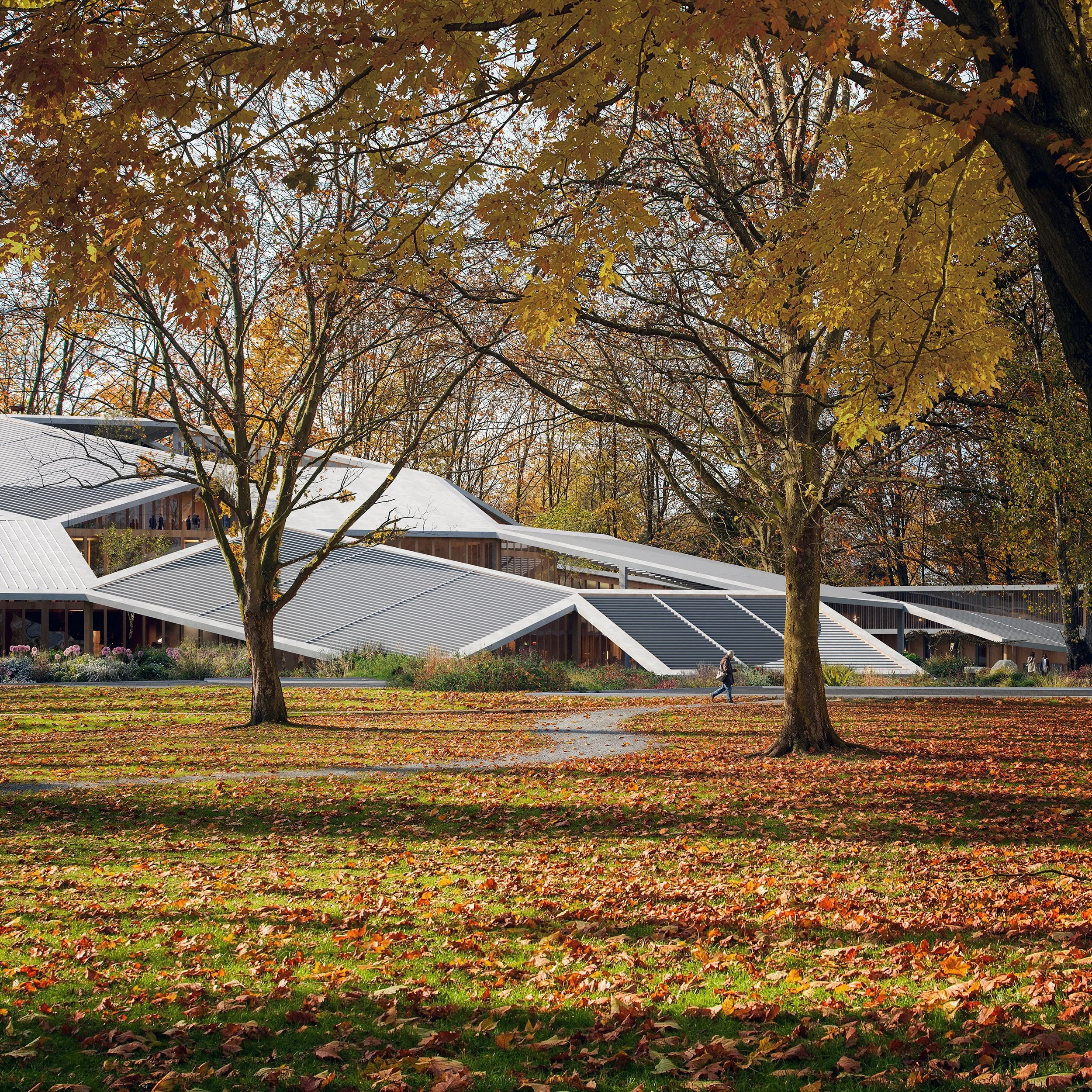 Autumn scene in a park with fallen leaves on the ground, large trees with orange and yellow leaves, and a modern building with sloped metal roofs in the background.
