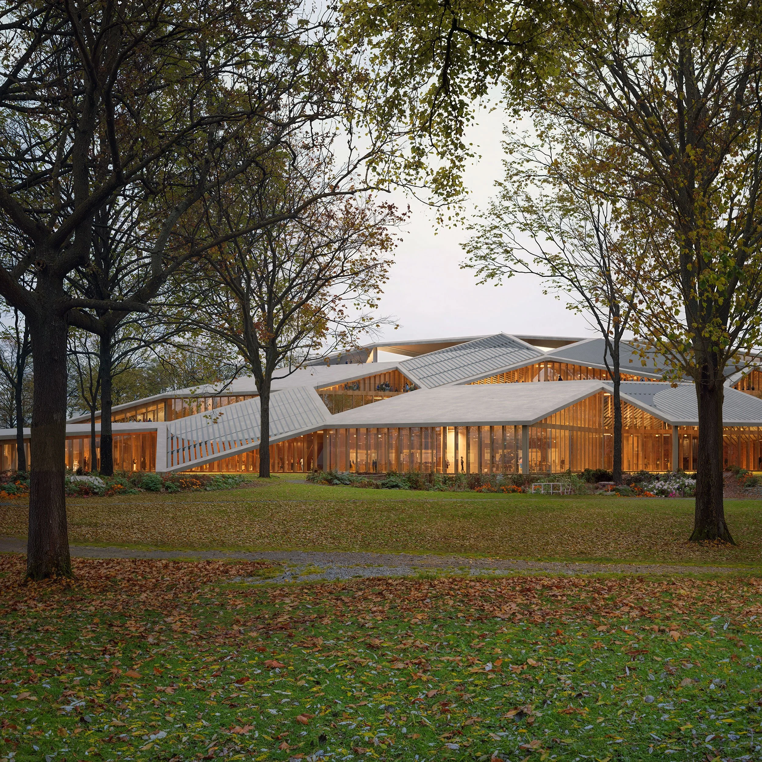 Modern building with angular white roof and glass walls, surrounded by trees and fallen leaves in a park during dusk.