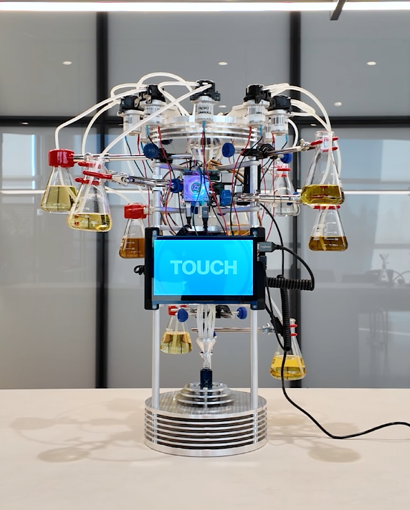 Emotional Alchemy | Tigris x Polygon