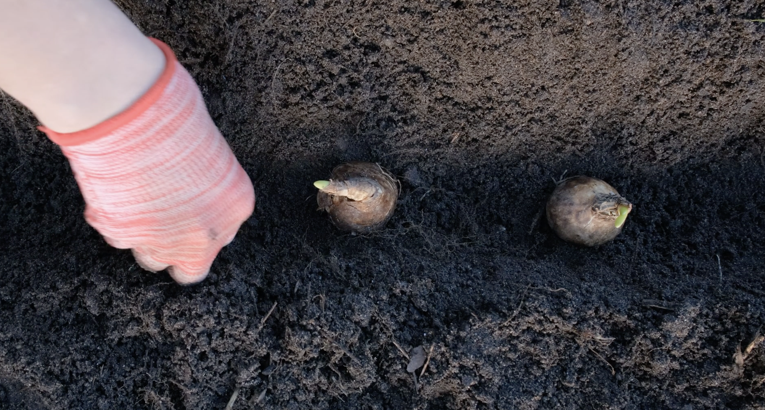 Screenshot 2026-03-10 at 1.02.32 PM.png