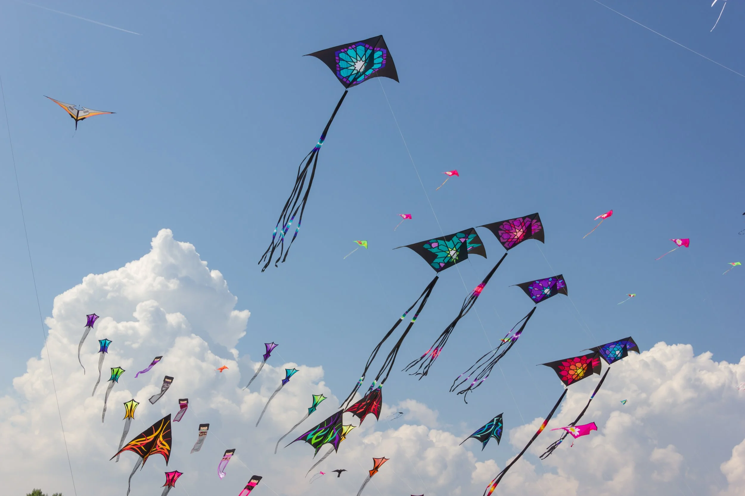 Go Fly a Kite!