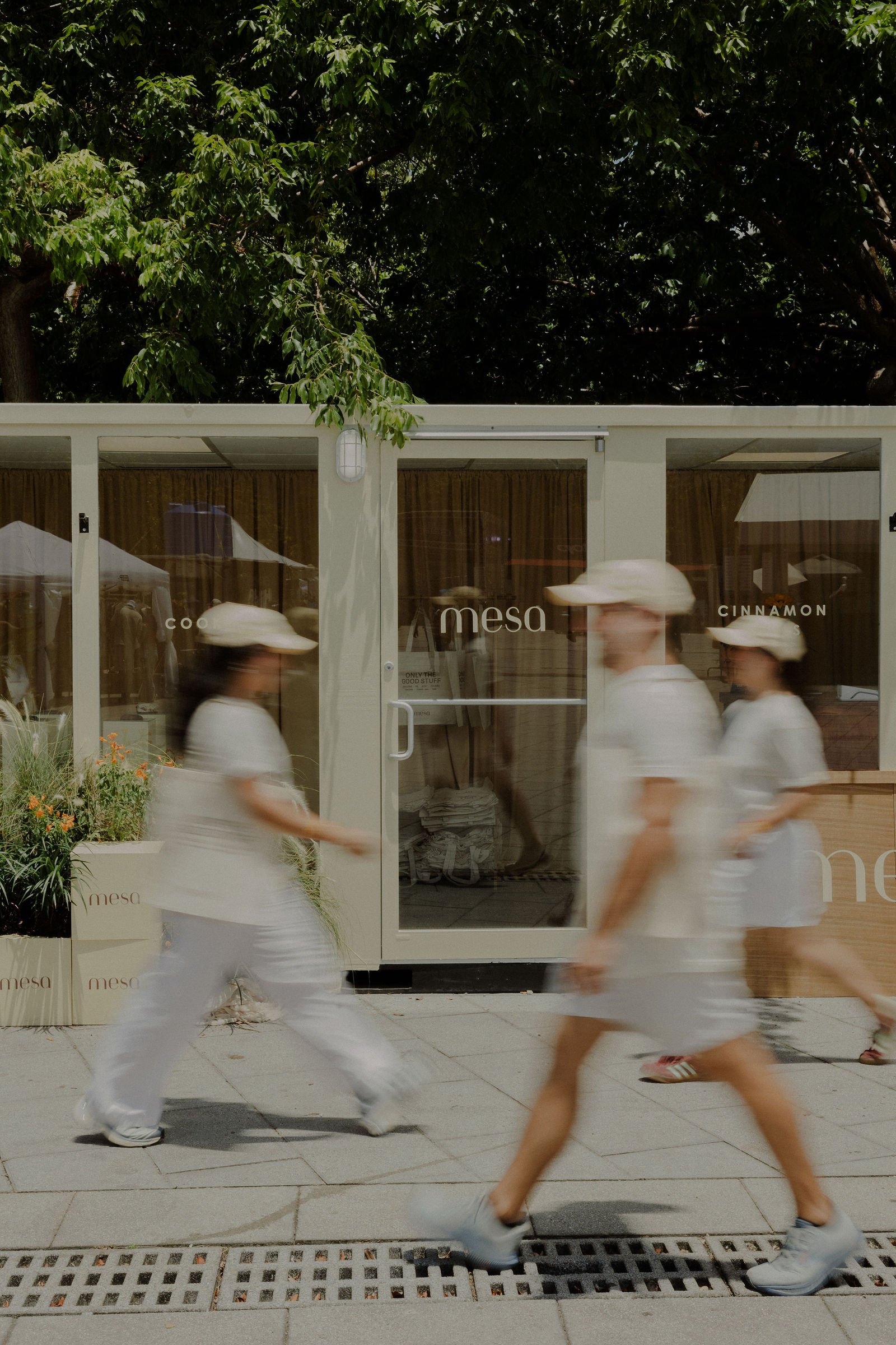 Blurred people walking past a storefront with glass doors and windows, and signage that reads 'mesa' and 'cinnamon'. A tree with green leaves is visible above the building.