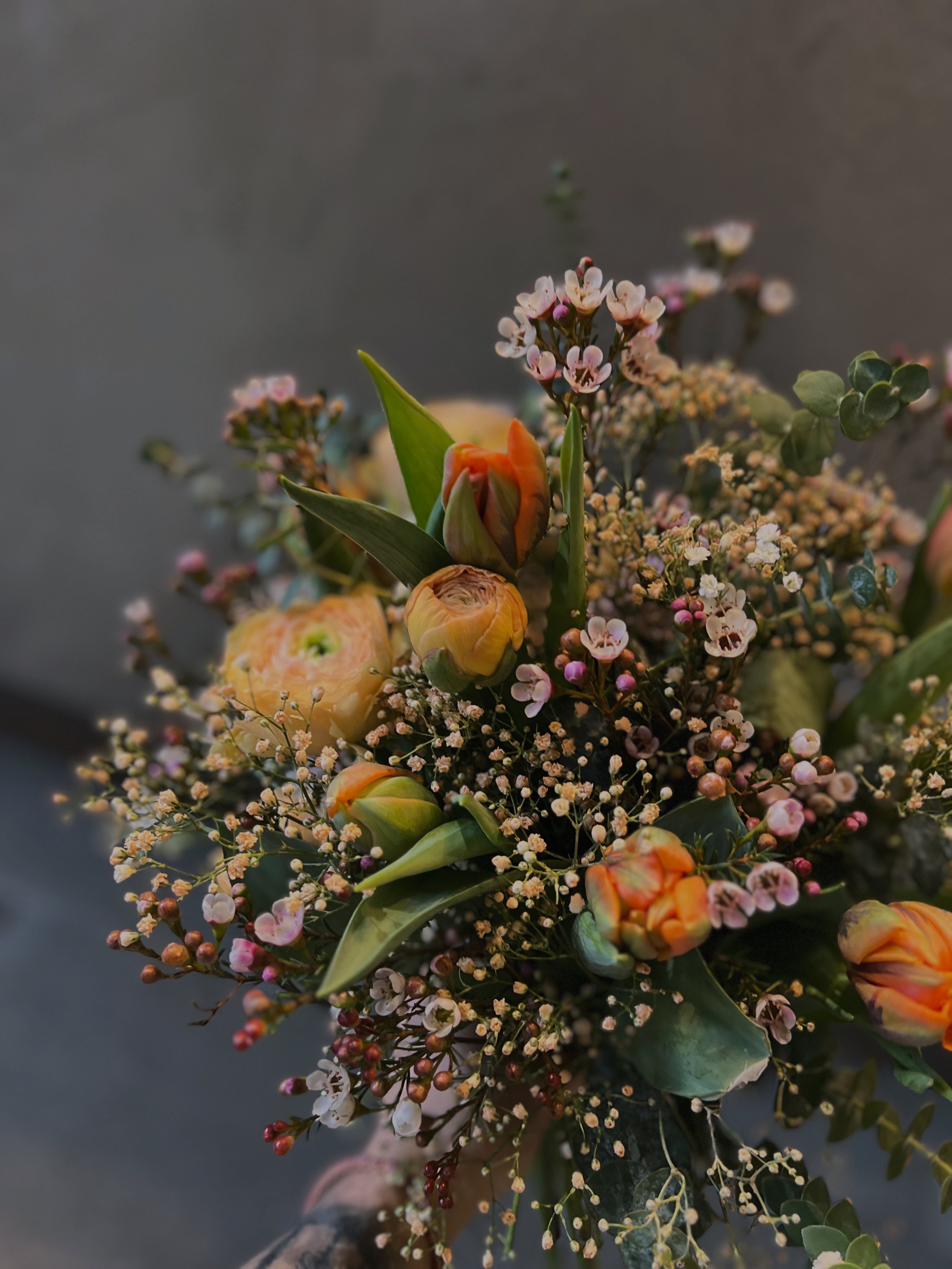 B1E1FC2A-F02C-48A5-9FD9-88F035BCBF0C 2.JPG