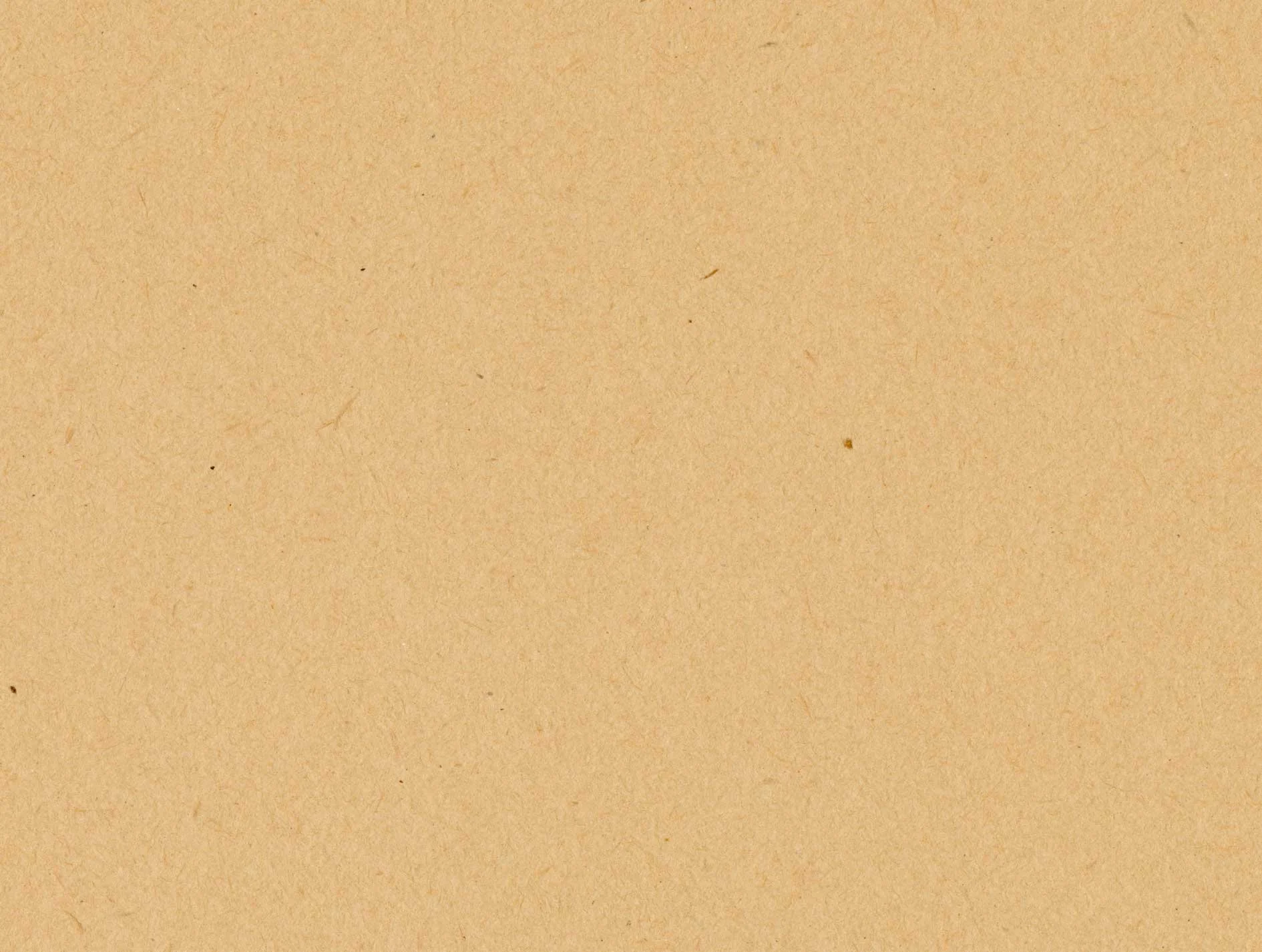 OffWhite_Paper_7.jpg