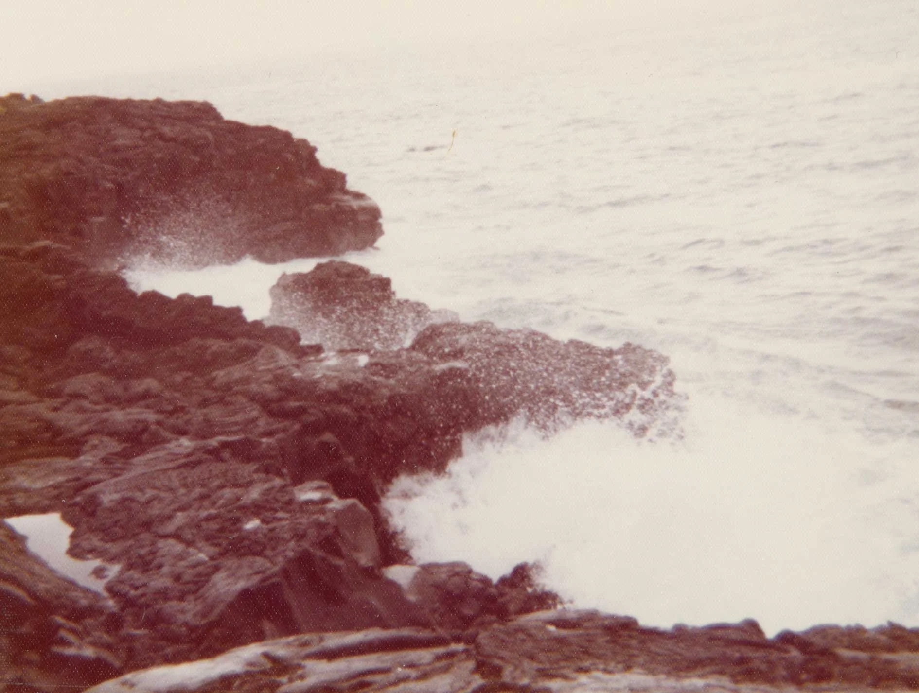 Vintage Vacation Photos