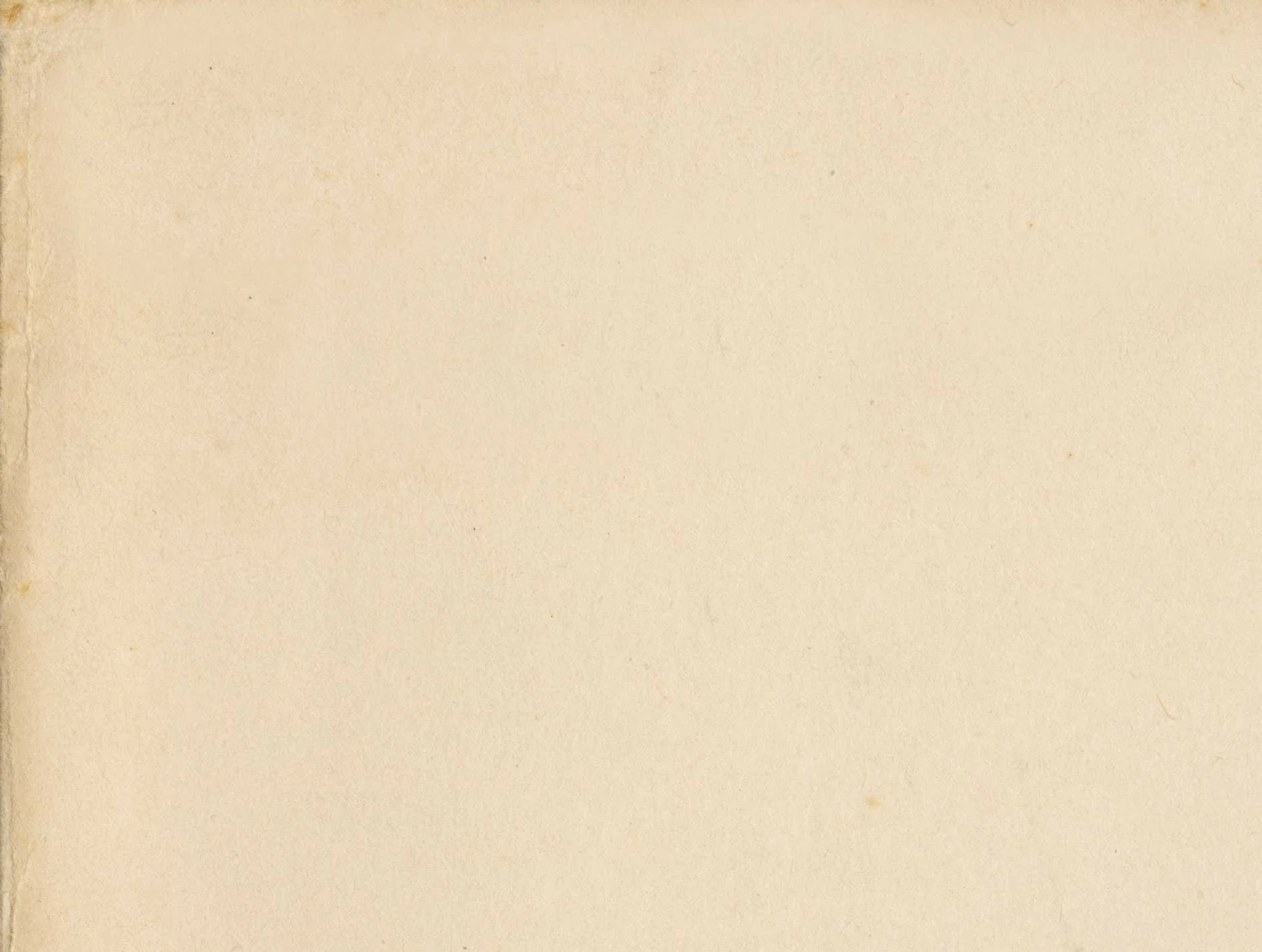 Paper Texture - Tan Pack