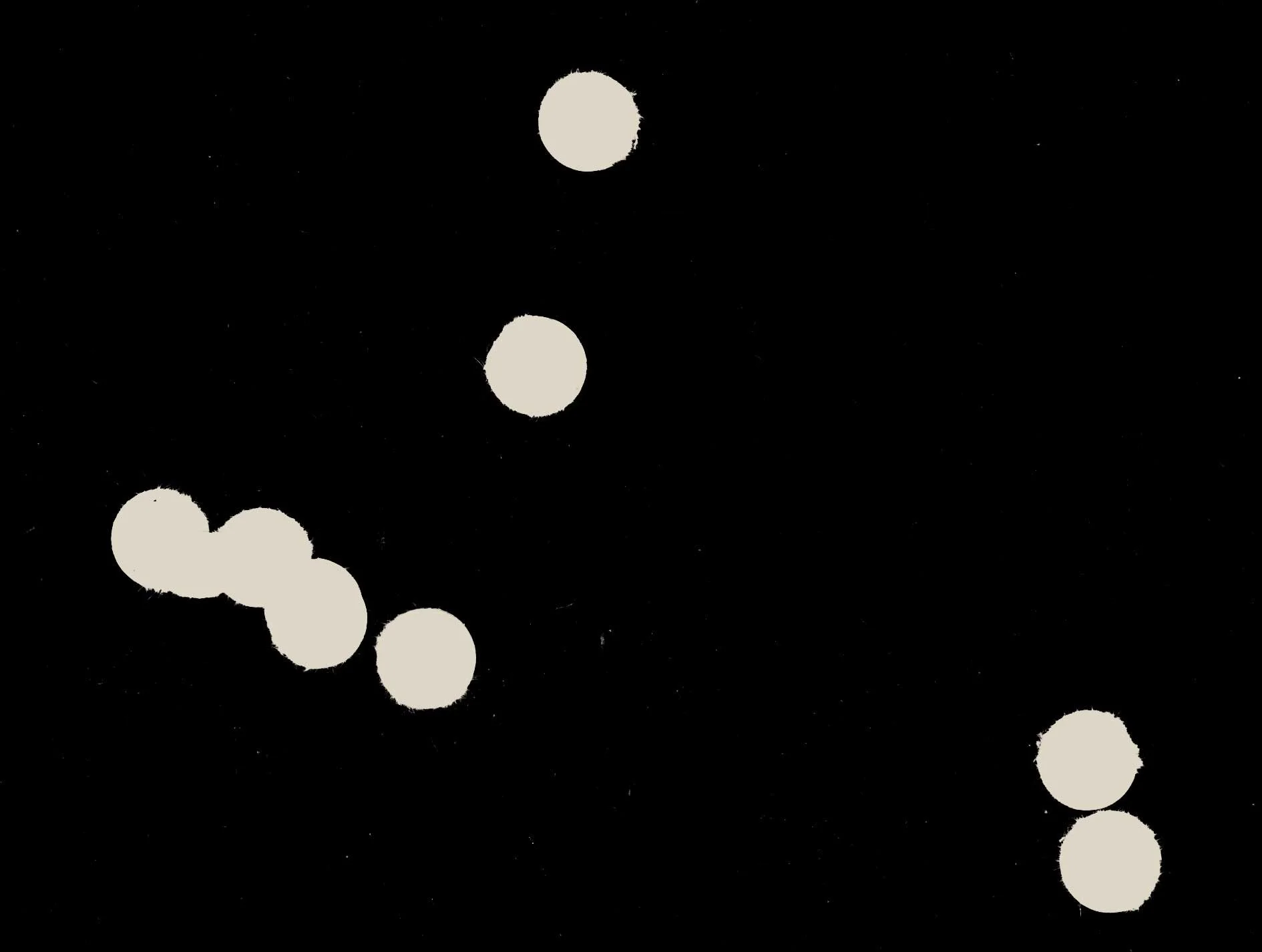 Hole Punched Circles