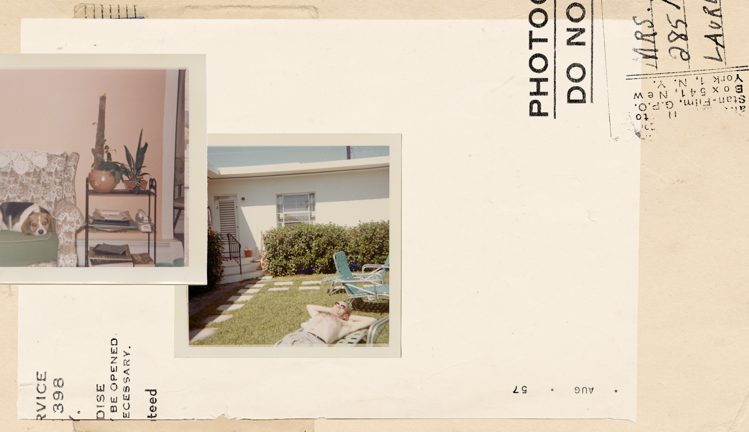 website_header_photos.png