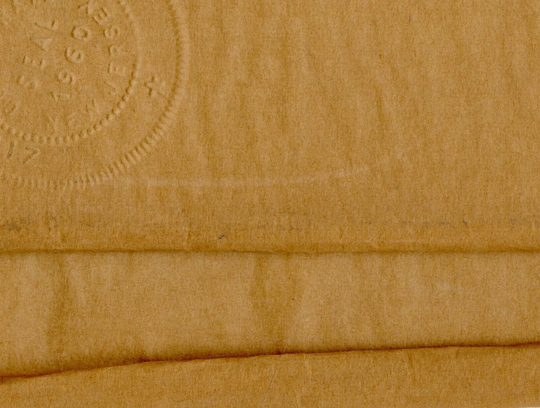 Vintage_Aged_PAper_Embossed2.jpg