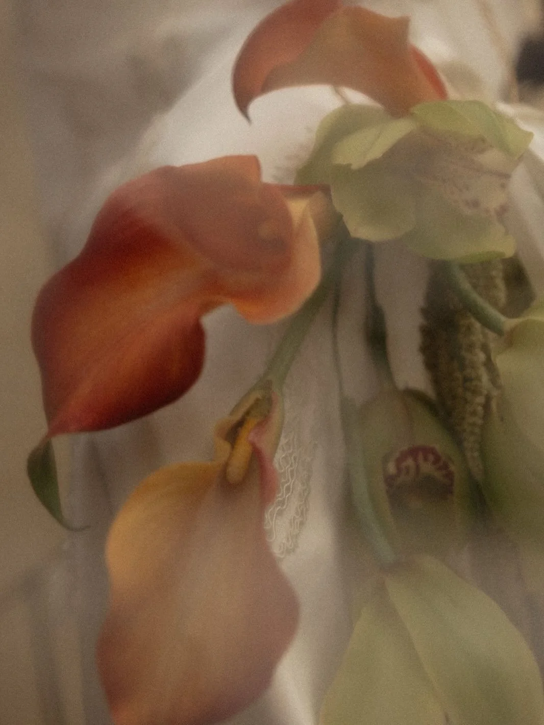 Mar + Ernesto

/ nuestra versi&oacute;n del amor /

Direcci&oacute;n creativa y general: @mon_weddings @queridasofirecua 
Dress: @bylaradeltoro 
Suits: @moreragrosso 
Venue: @dolores54_ 
Flowers: @_nispero 
MUA: @nuria__makeup 
Hair: @victoria.moreno