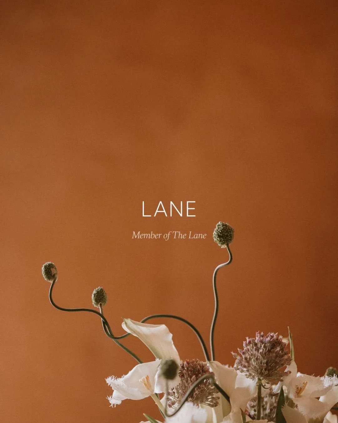 Truly honoured to be part of @the_lane 

Being recognised by a platform that values intentionality and thoughtful storytelling means a lot.

🤍
