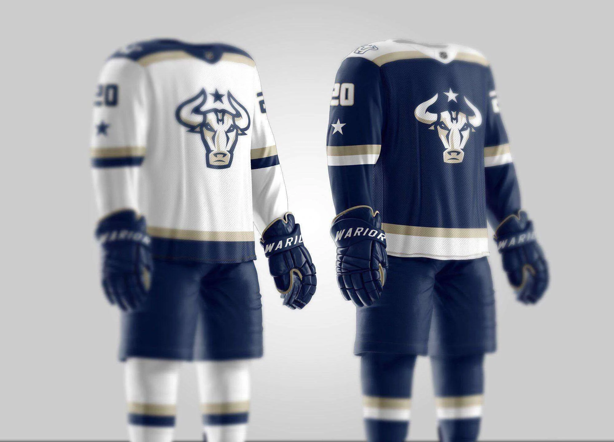 Houston’s Hockey Ambitions Take Shape with Arrival of NAHL Franchise