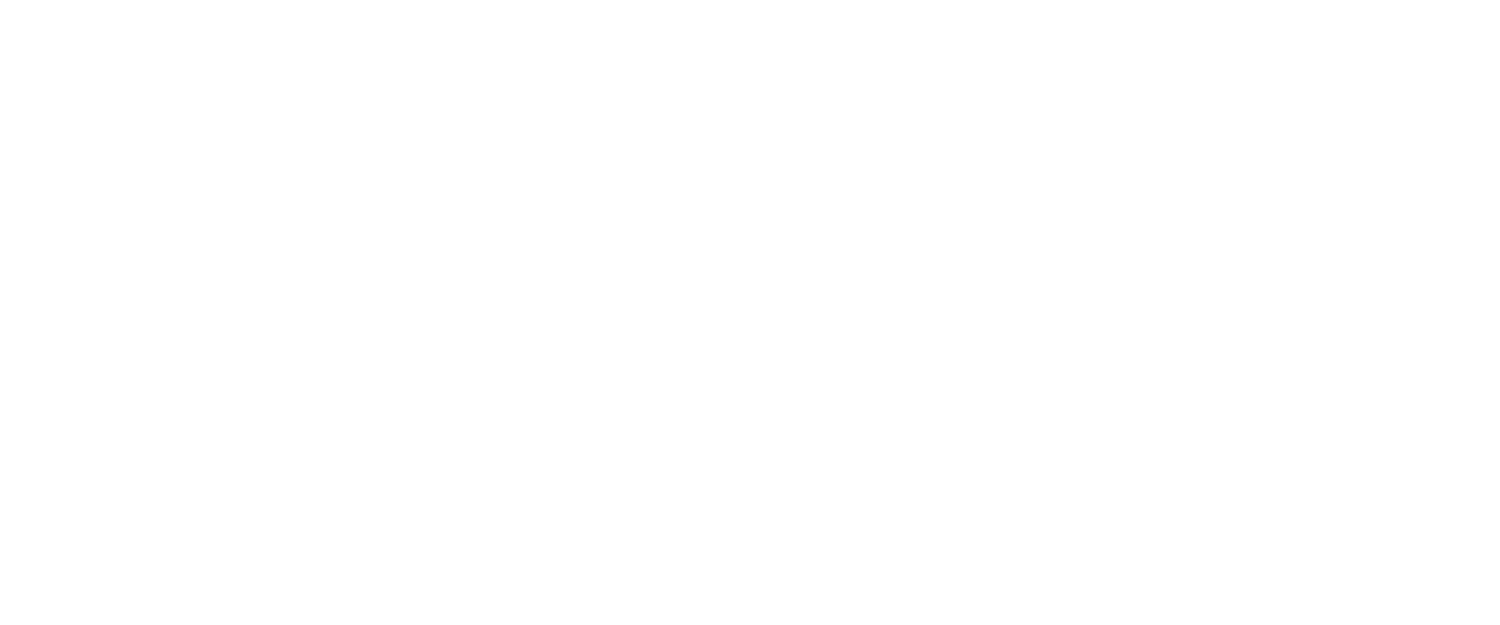 Alary Financial