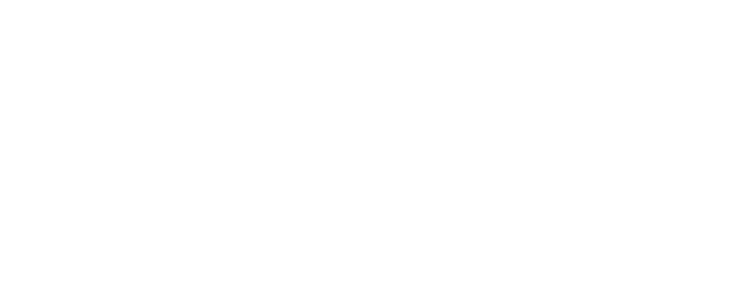 Alary Financial