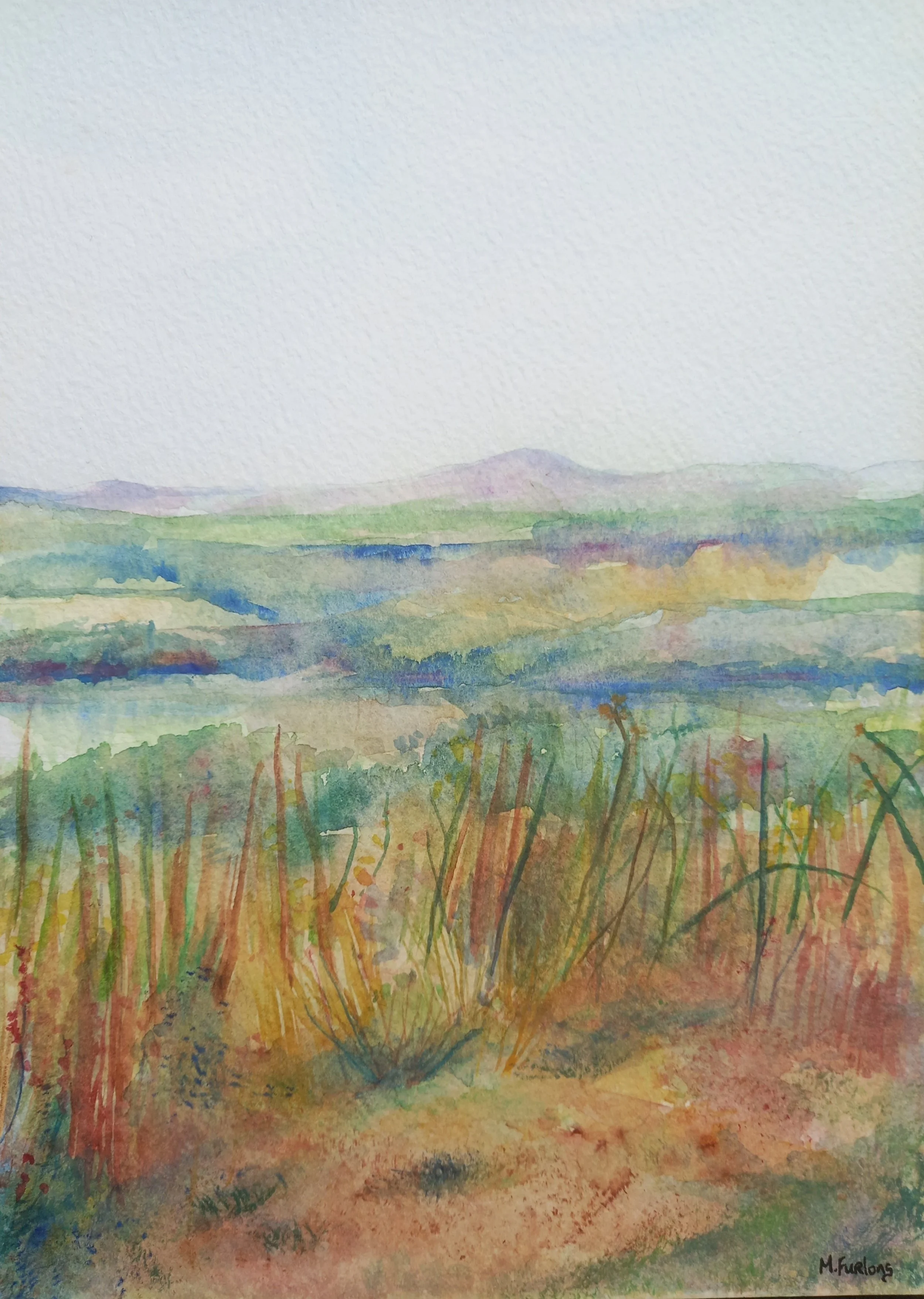 Irish Landscape I - watercolour on paper (H24.5xW18cm).jpg