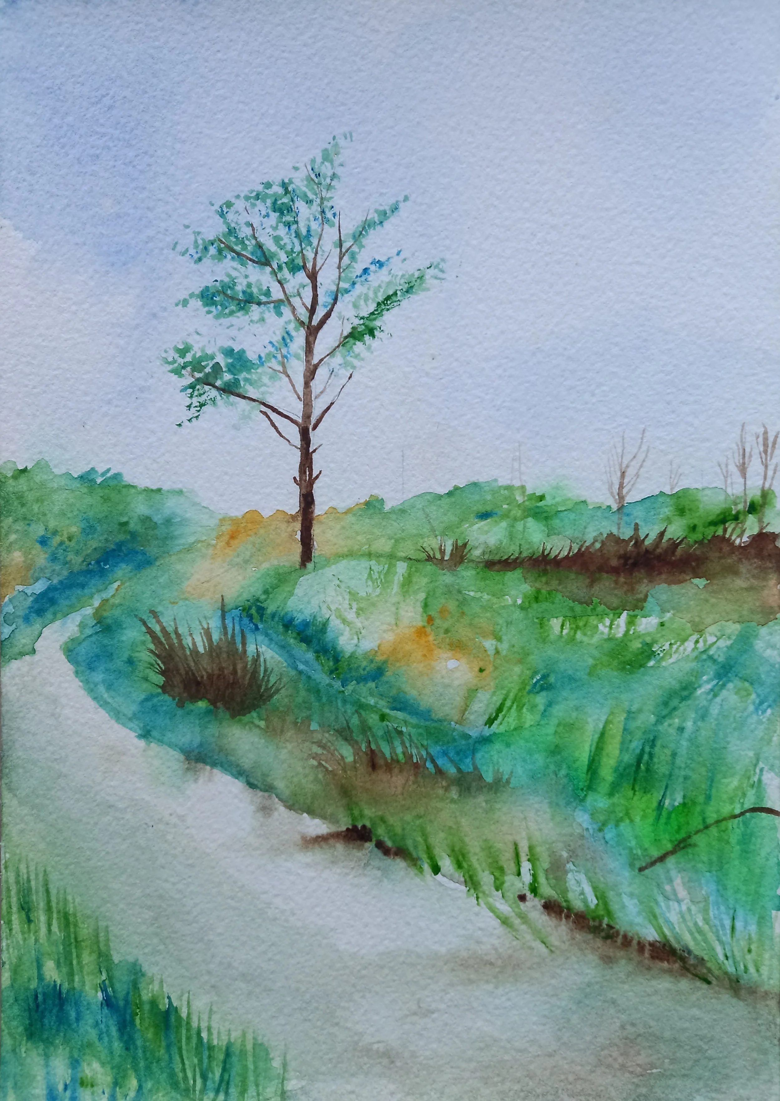 The Pathway to the Forest - watercolour on paper.jpg