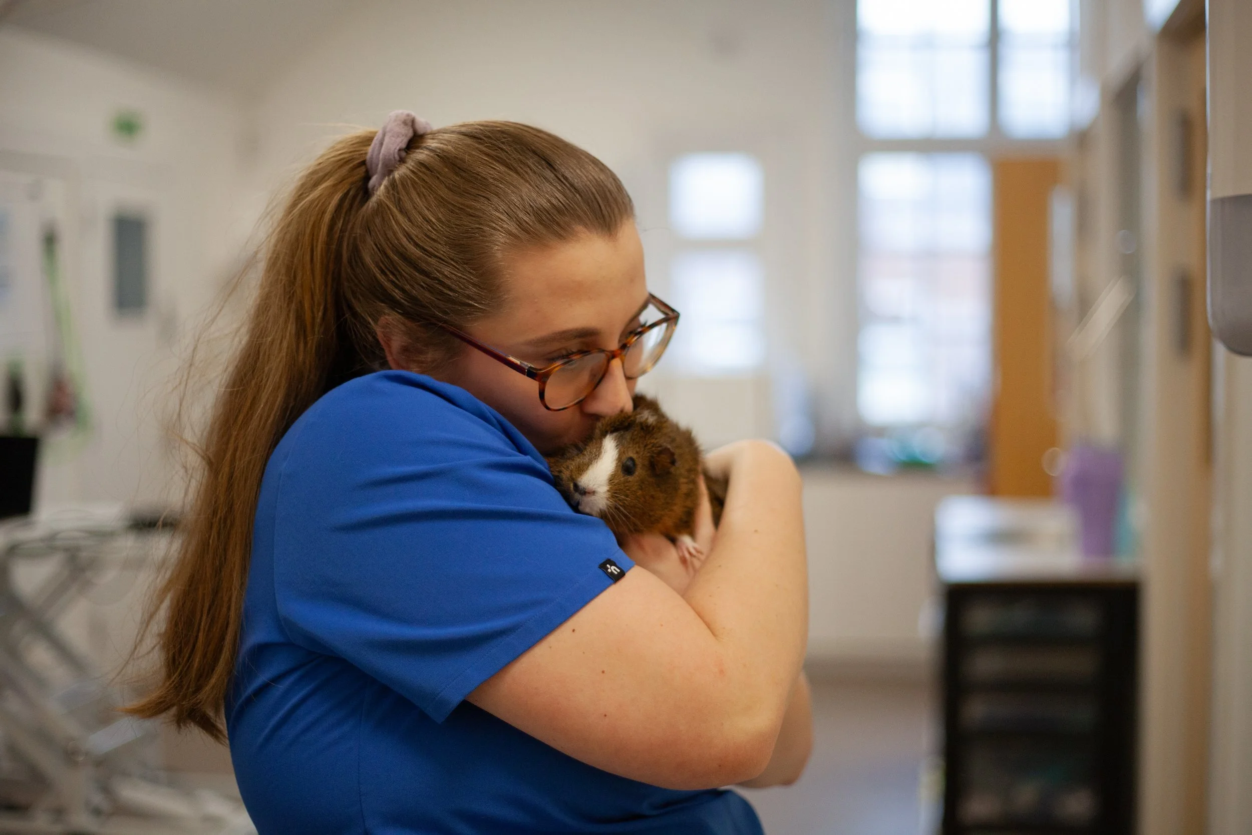 A woman in a blue uniform holding a brown and white guinea pig close to her chest and smelling it.