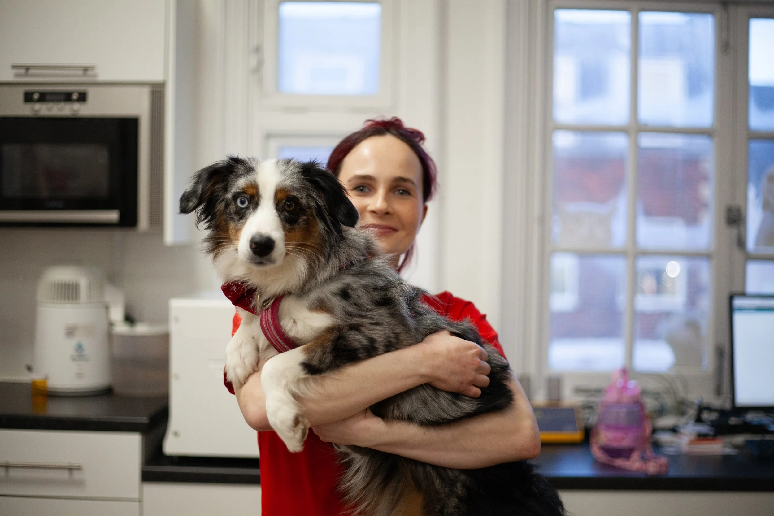A woman with red hair holds an Australian Shepherd dog inside a kitchen. The woman is smiling and wearing a red shirt. The kitchen has white cabinets, a microwave, and a window with a view of buildings outside.