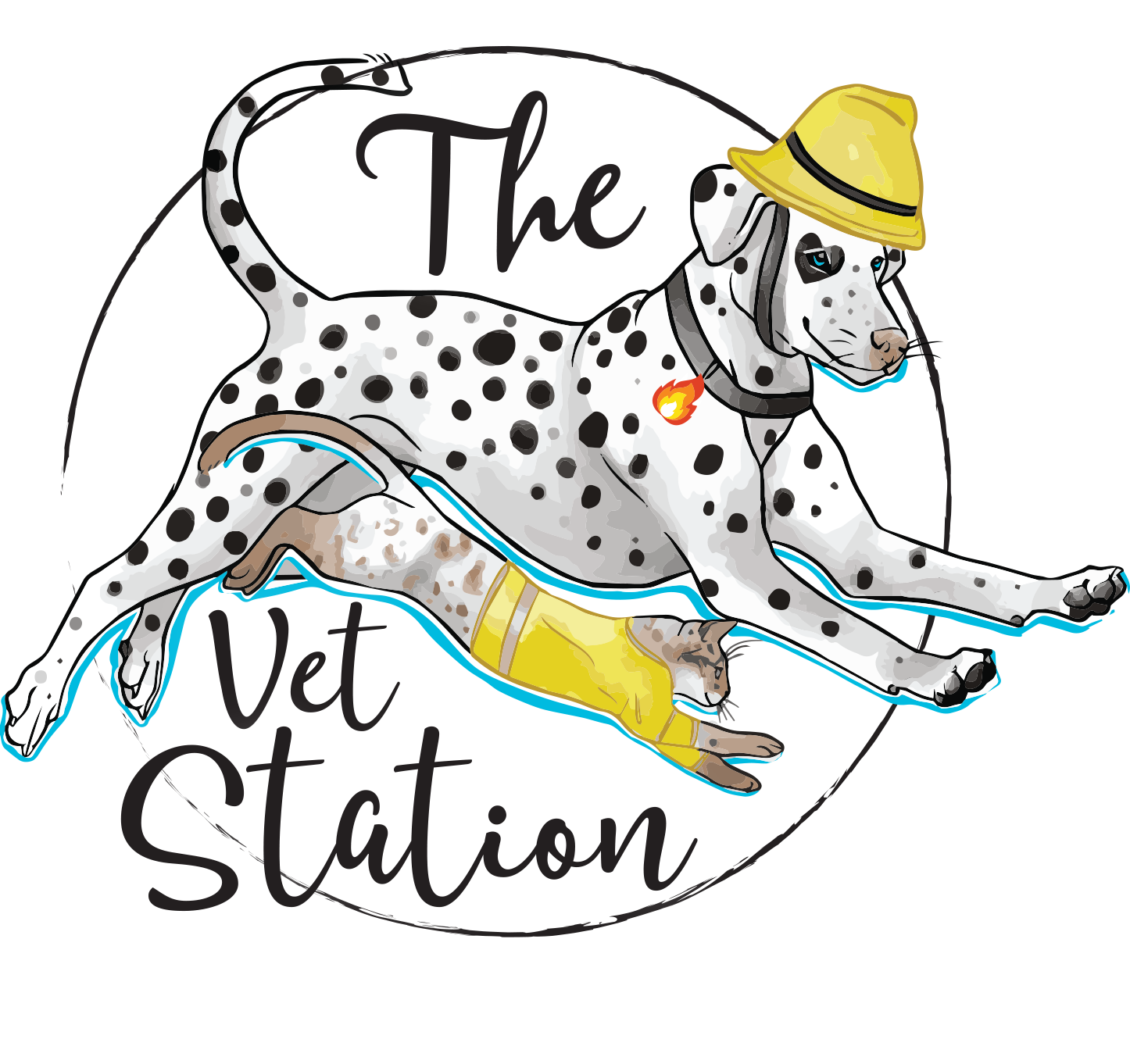 The Vet Station