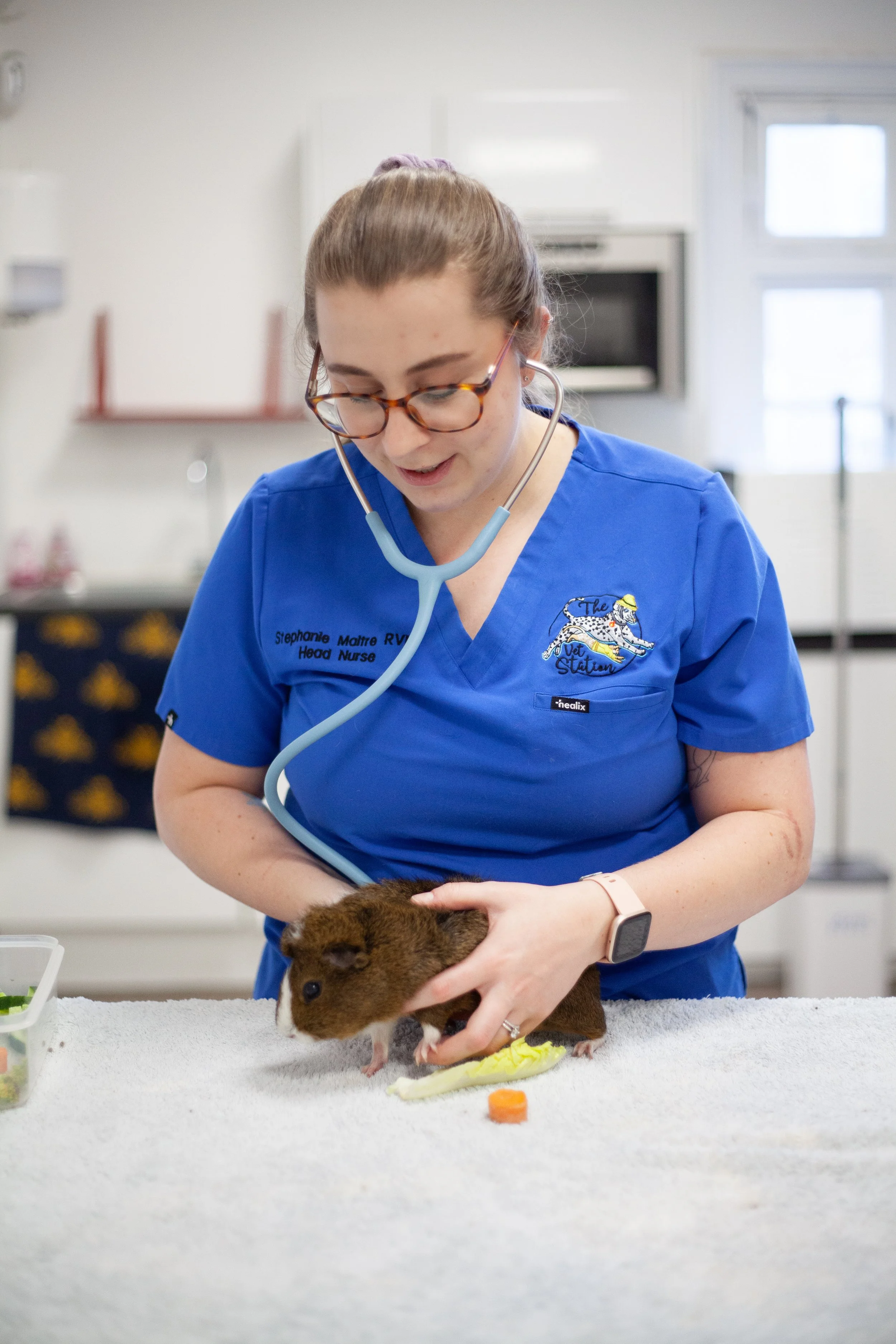 A woman in blue veterinary scrubs holds a guinea pig on a white table, examining it in a clinical setting with a stethoscope around her neck.