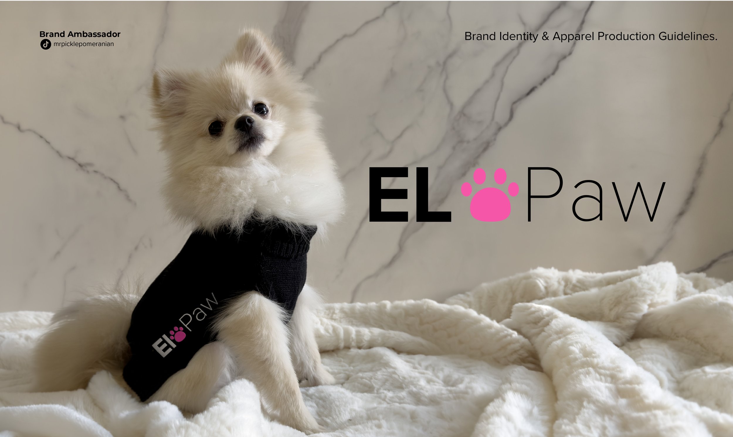 A small fluffy white puppy wearing a black garment with pink paw print and branding that says EL Paw being held on a soft, white bed with a marble wall in the background. The puppy has dark eyes and a curious expression.