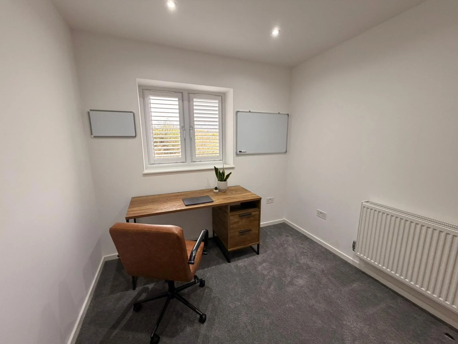 PHOTO-2026-03-04-11-52-07 4.jpg