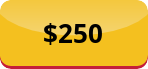 Goldg button with '$250' written on it