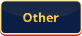 A navy blue button with gold text that reads 'Other'.