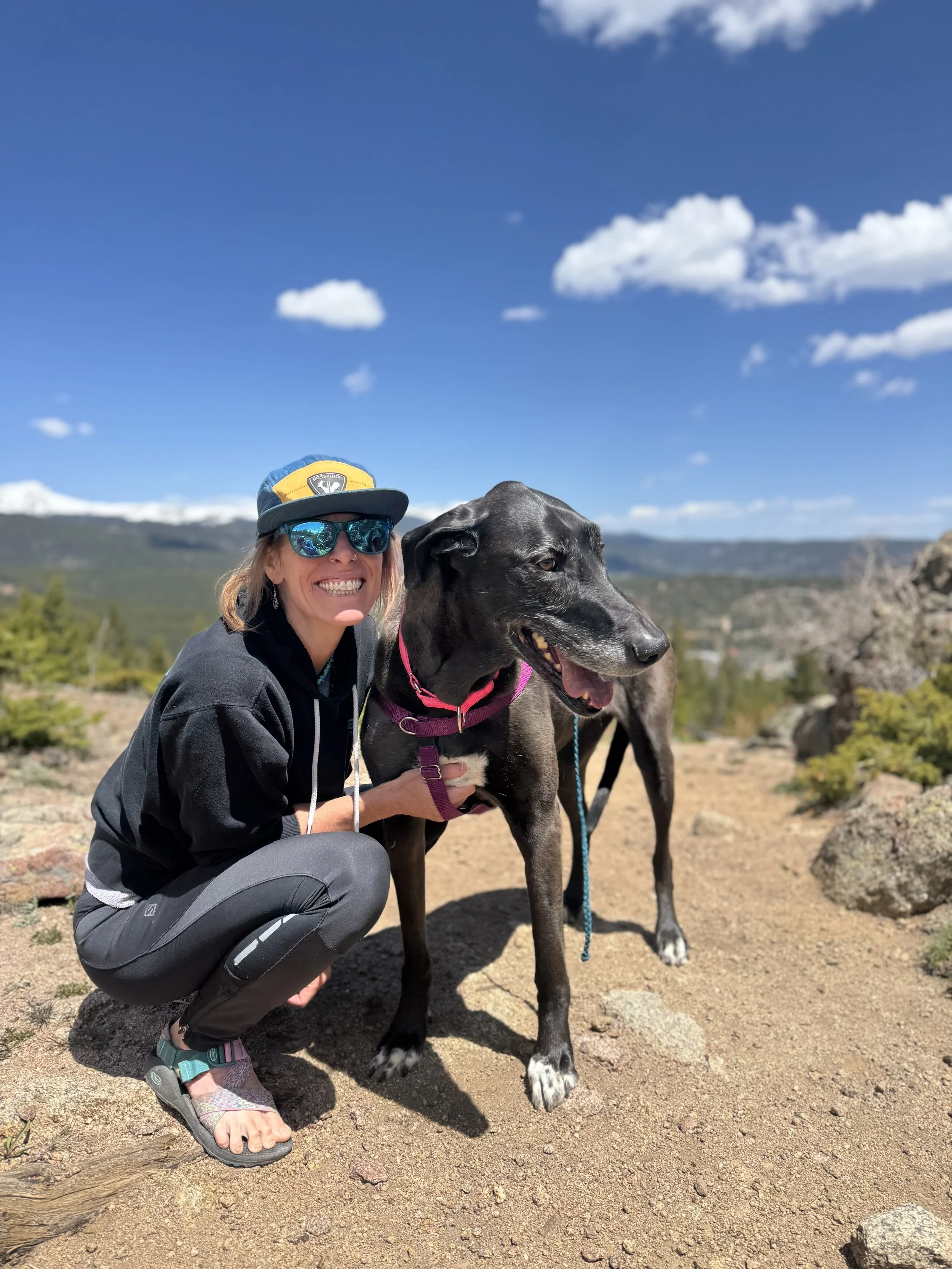 dog mountain energy happy