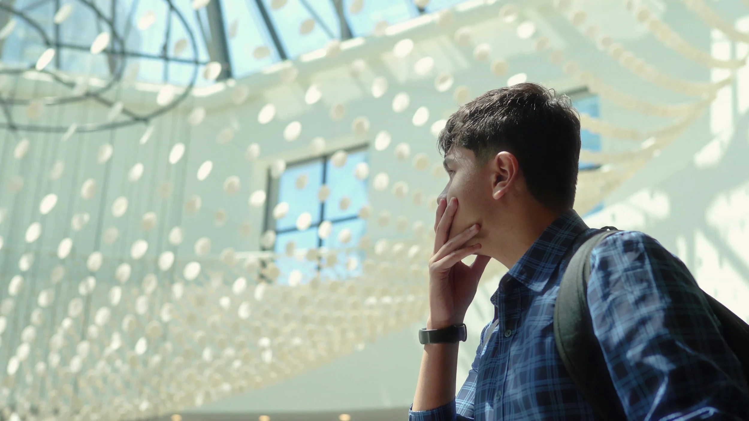 The Ultimate Guide to US College Admission Decision Plans: ED, ED2, EA, REA, and RD