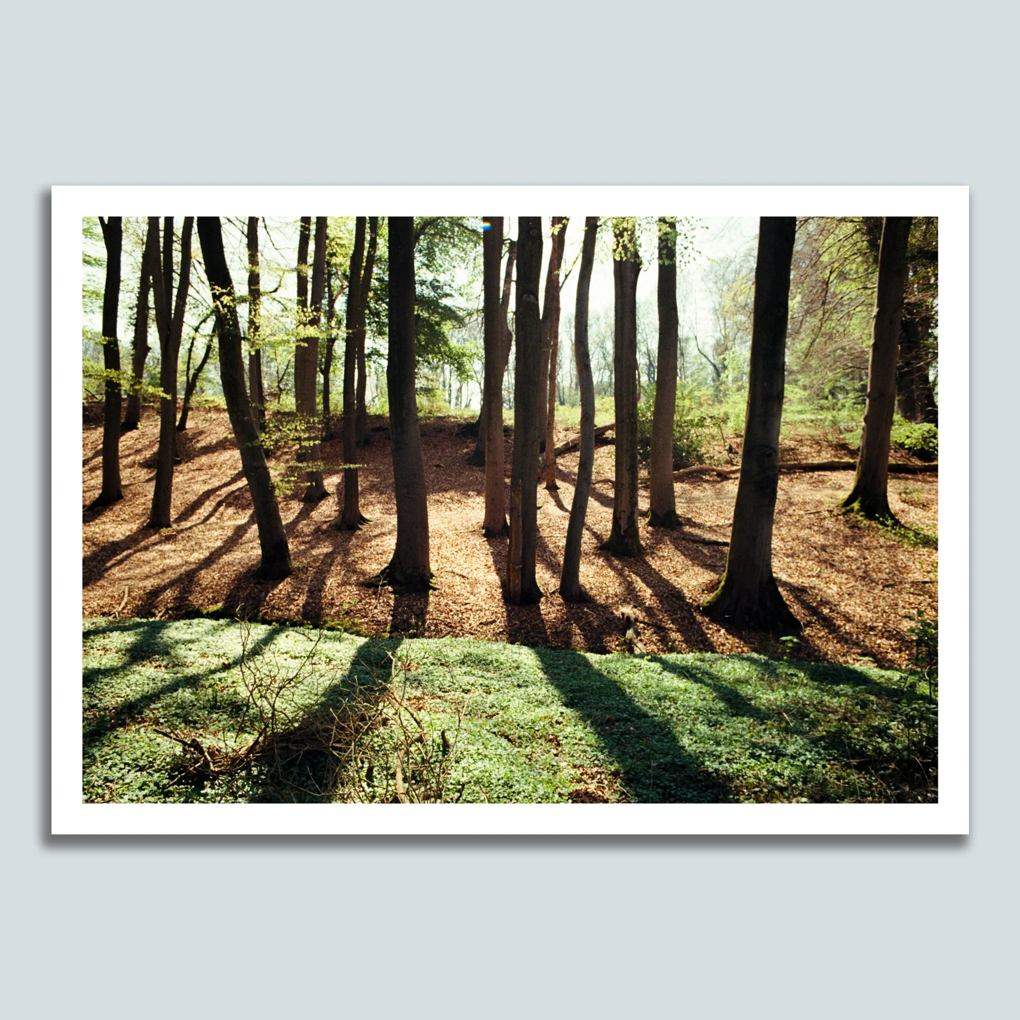 UHLENBACHTAL No.2