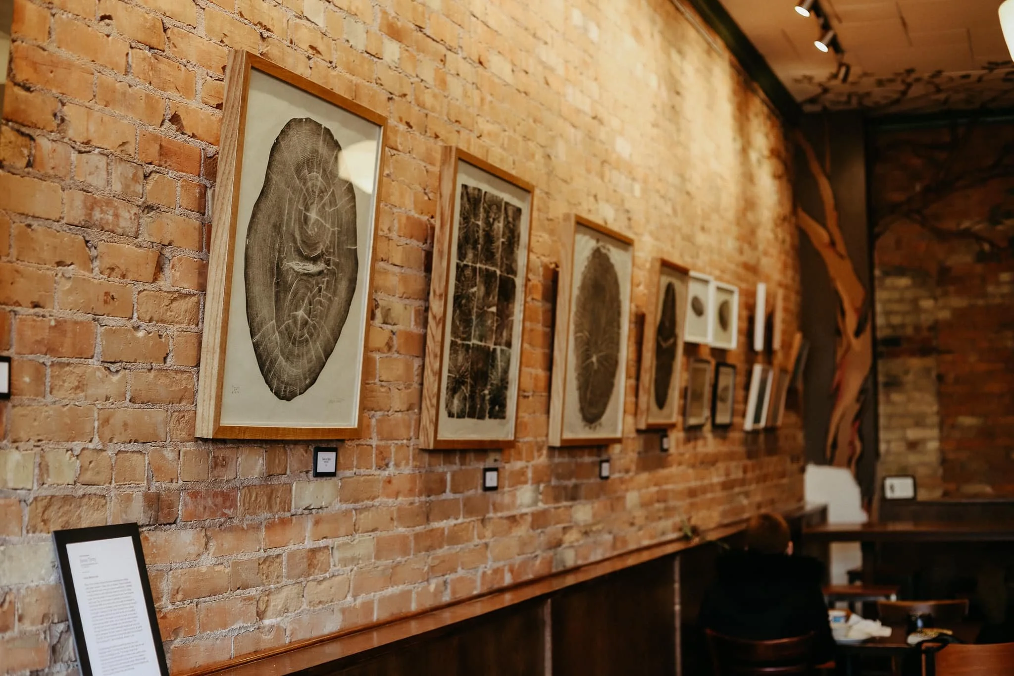 A gallery wall with framed artwork of tree rings and wood cross sections hanging on an exposed brick wall in an art space.