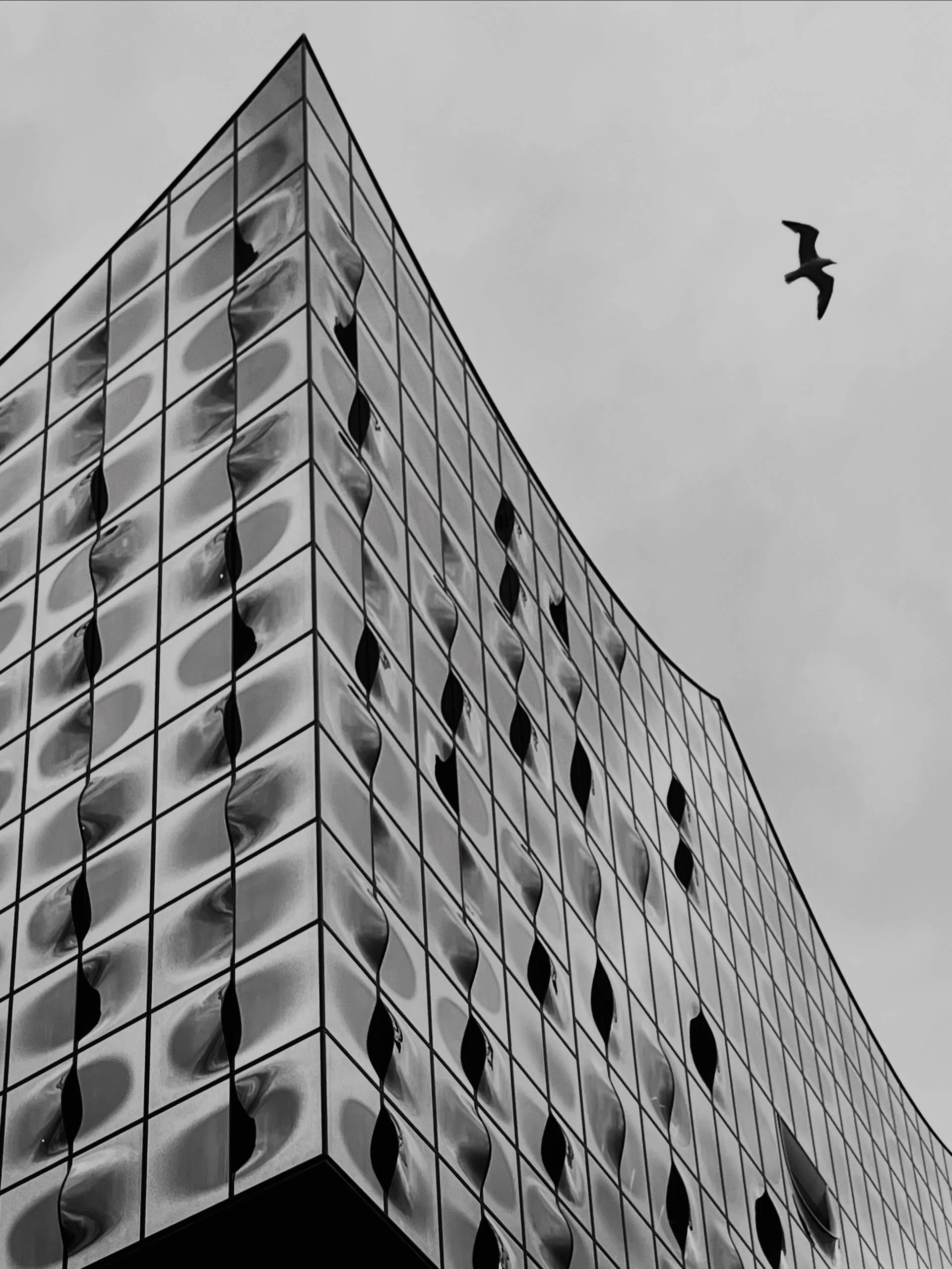 🇬🇧 A few impressions of Hamburg 

🇫🇷 A few impressions of Hamburg

🇩🇪 A few shots of Hamburg

#streetphotography #architecture #shotonphone #hamburg 

___________________
Conquer Wedding, fine-art destination wedding photographer in P