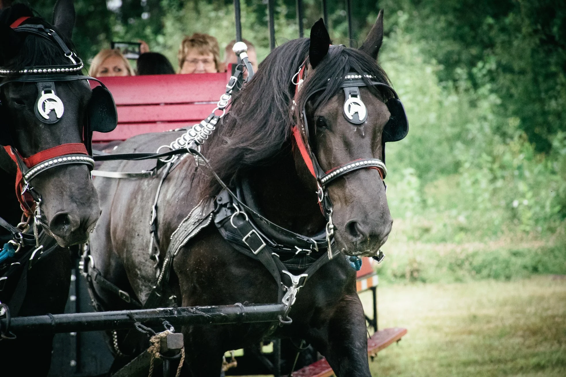 wedding guests ride in.jpg