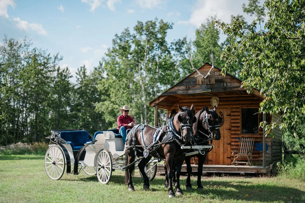 Marriage Carriage wagon for hire picture.jpg