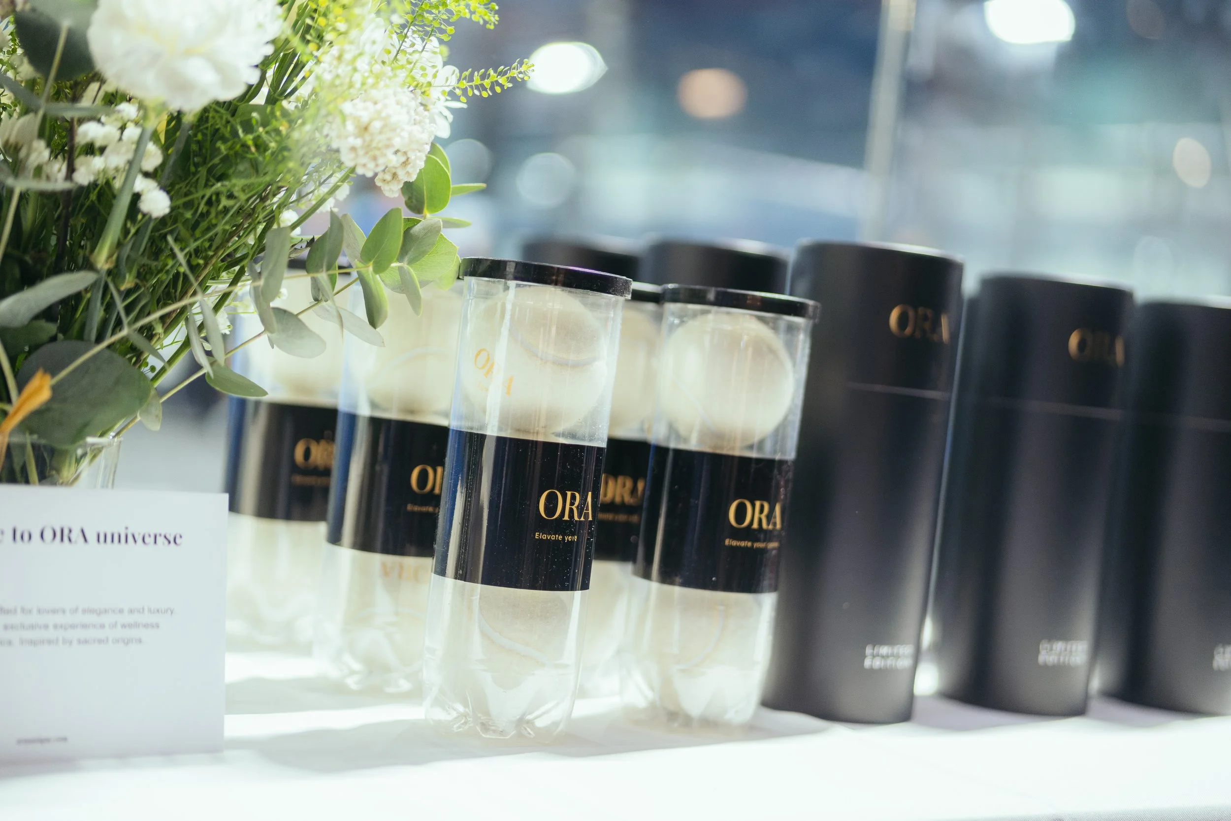 DSC07155 - copia.jpg