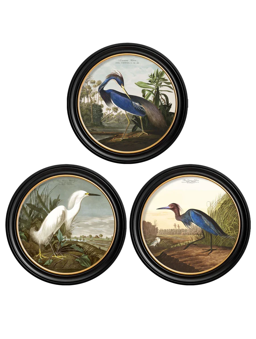 herons3.webp