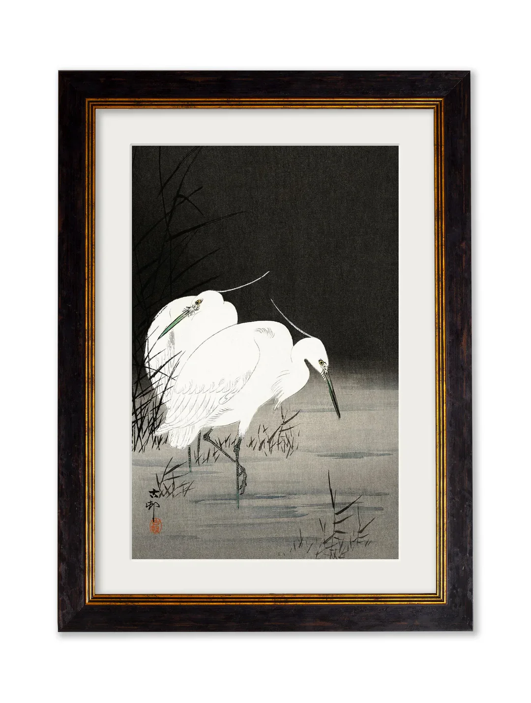 Egrets_A2_A3.webp