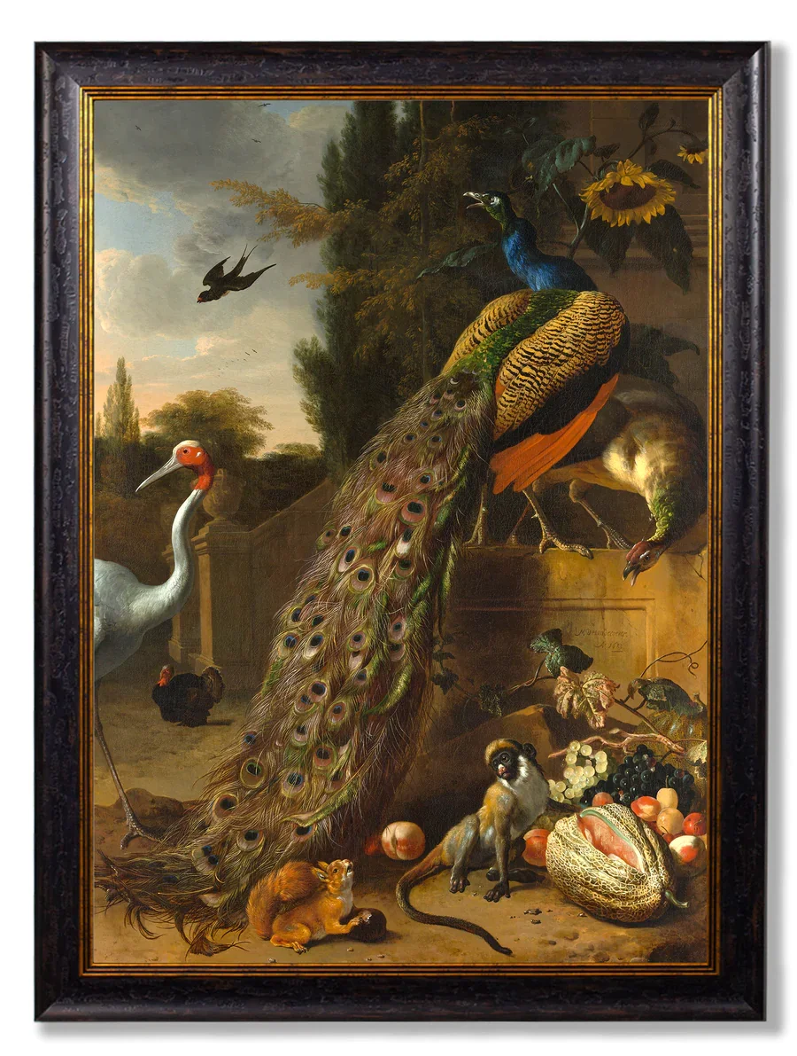 PeacockNoMount.webp